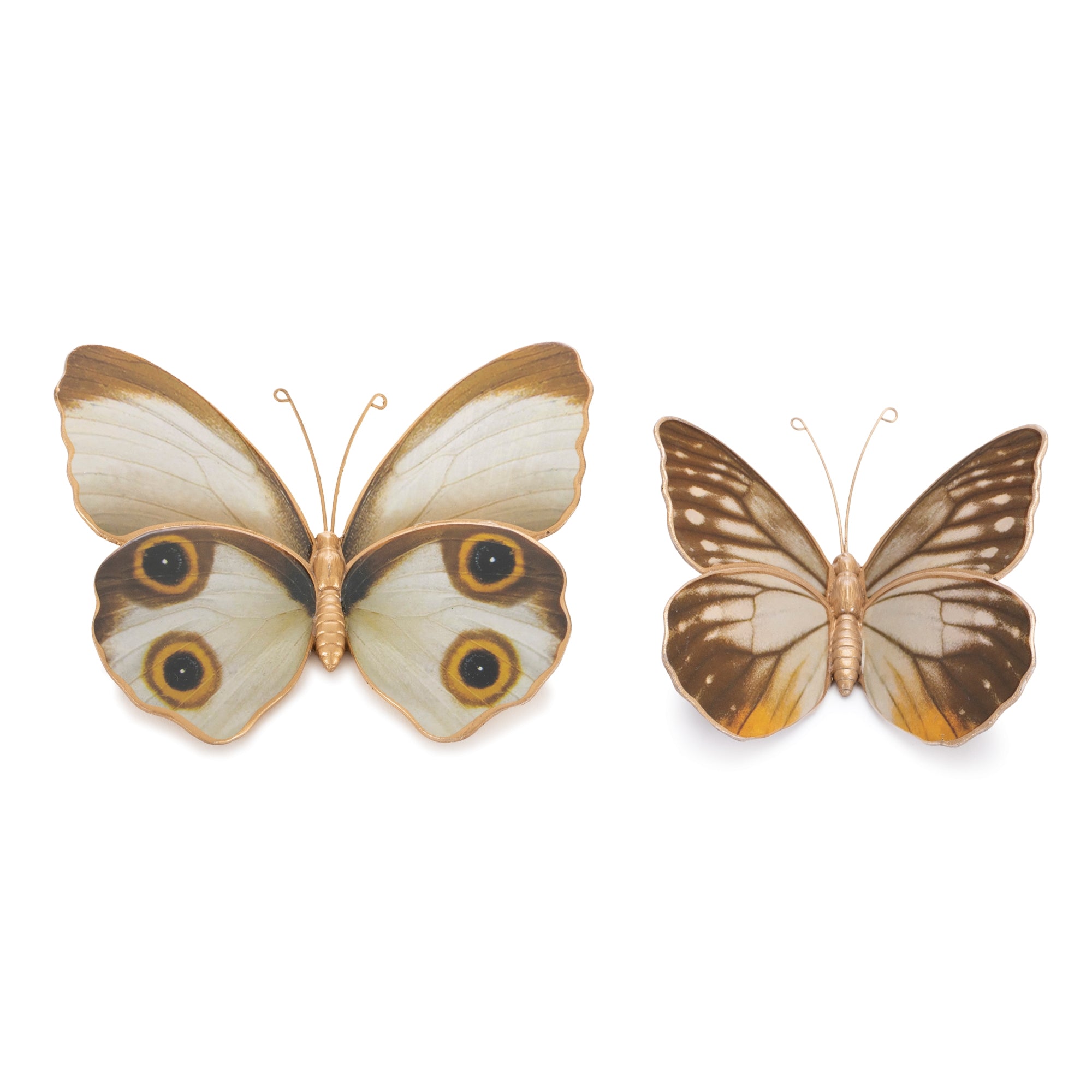 Amber Butterfly and Moth Shelf Sitter, Set of 2