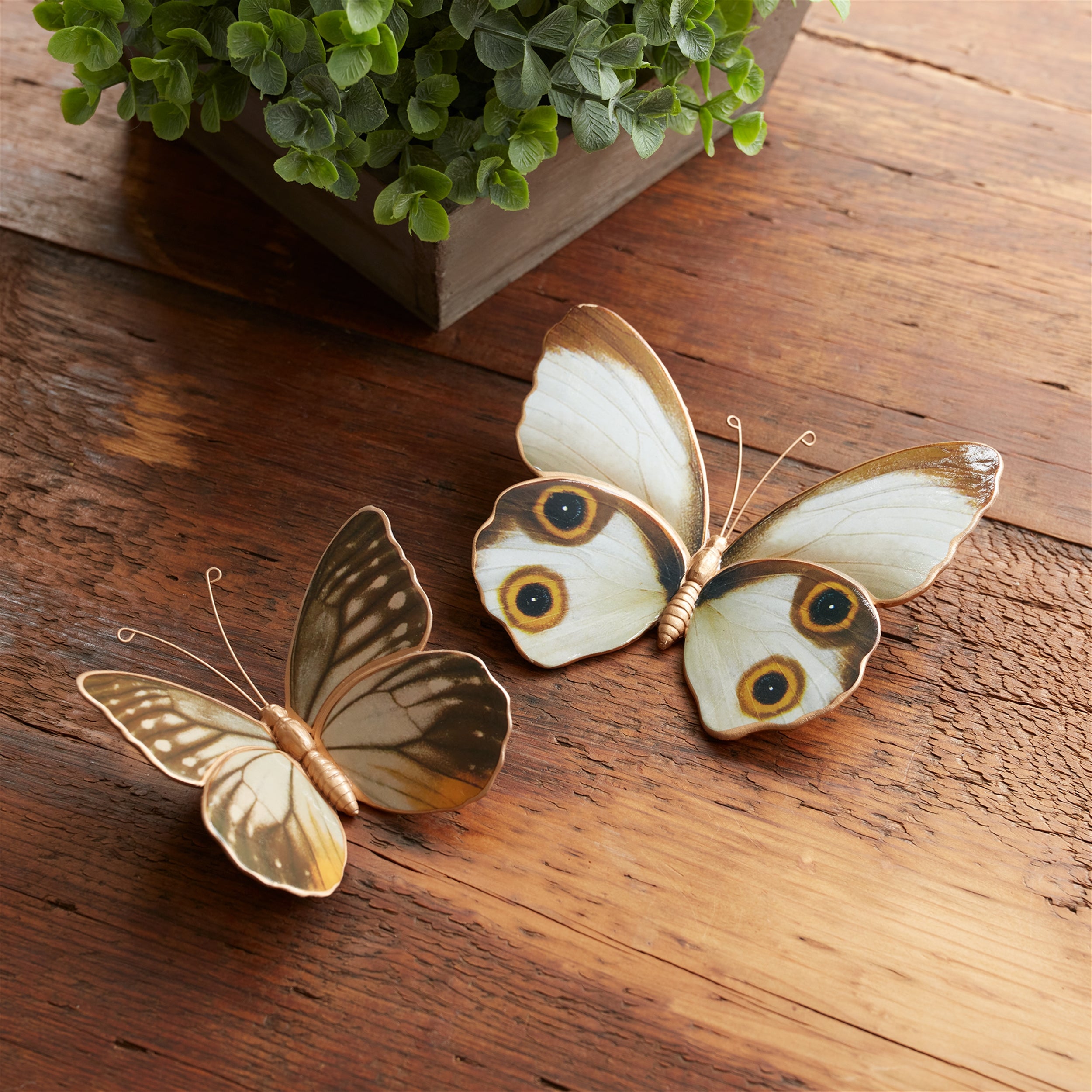 Amber Butterfly and Moth Shelf Sitter, Set of 2