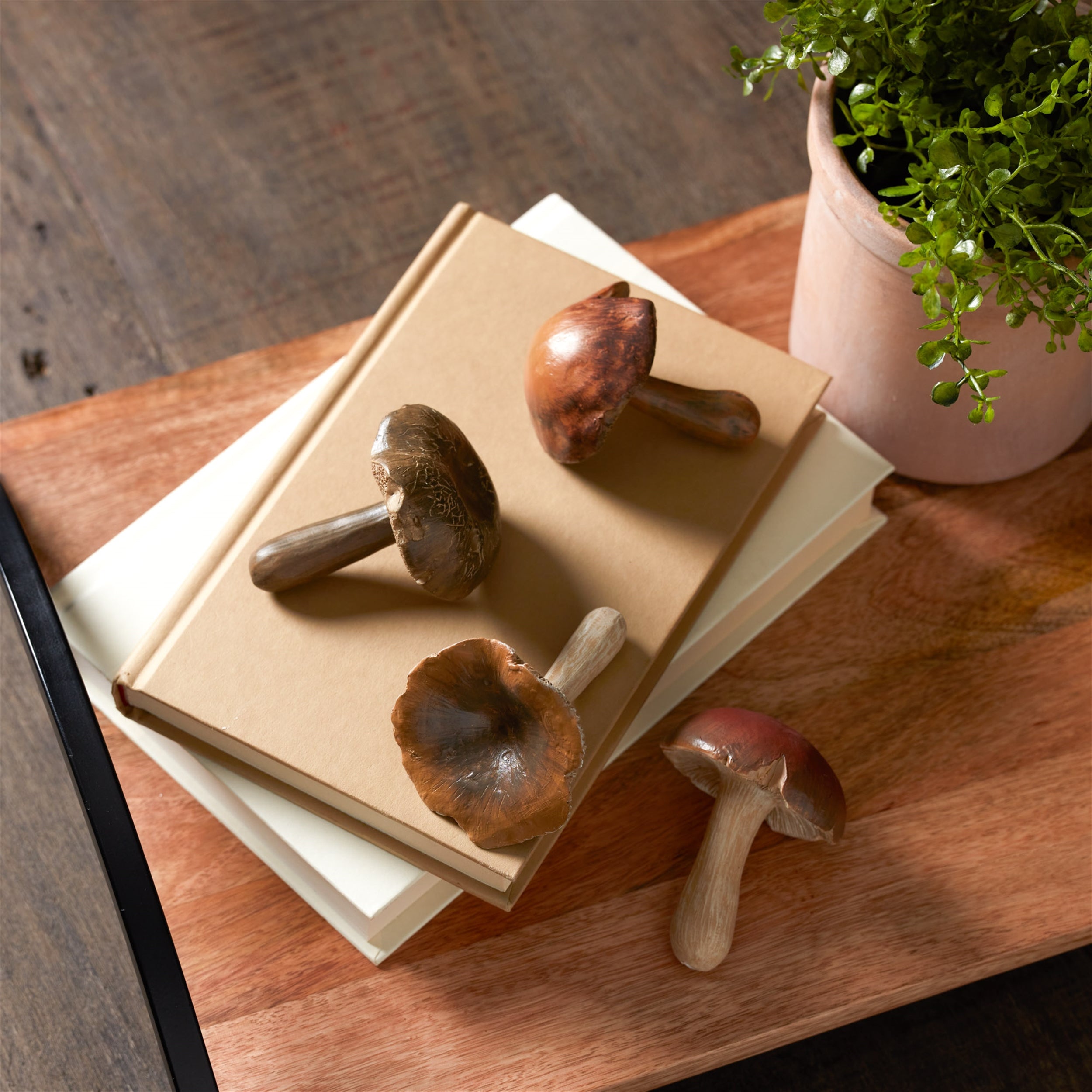 Stone Mushroom Shelf Sitter, Set of 12