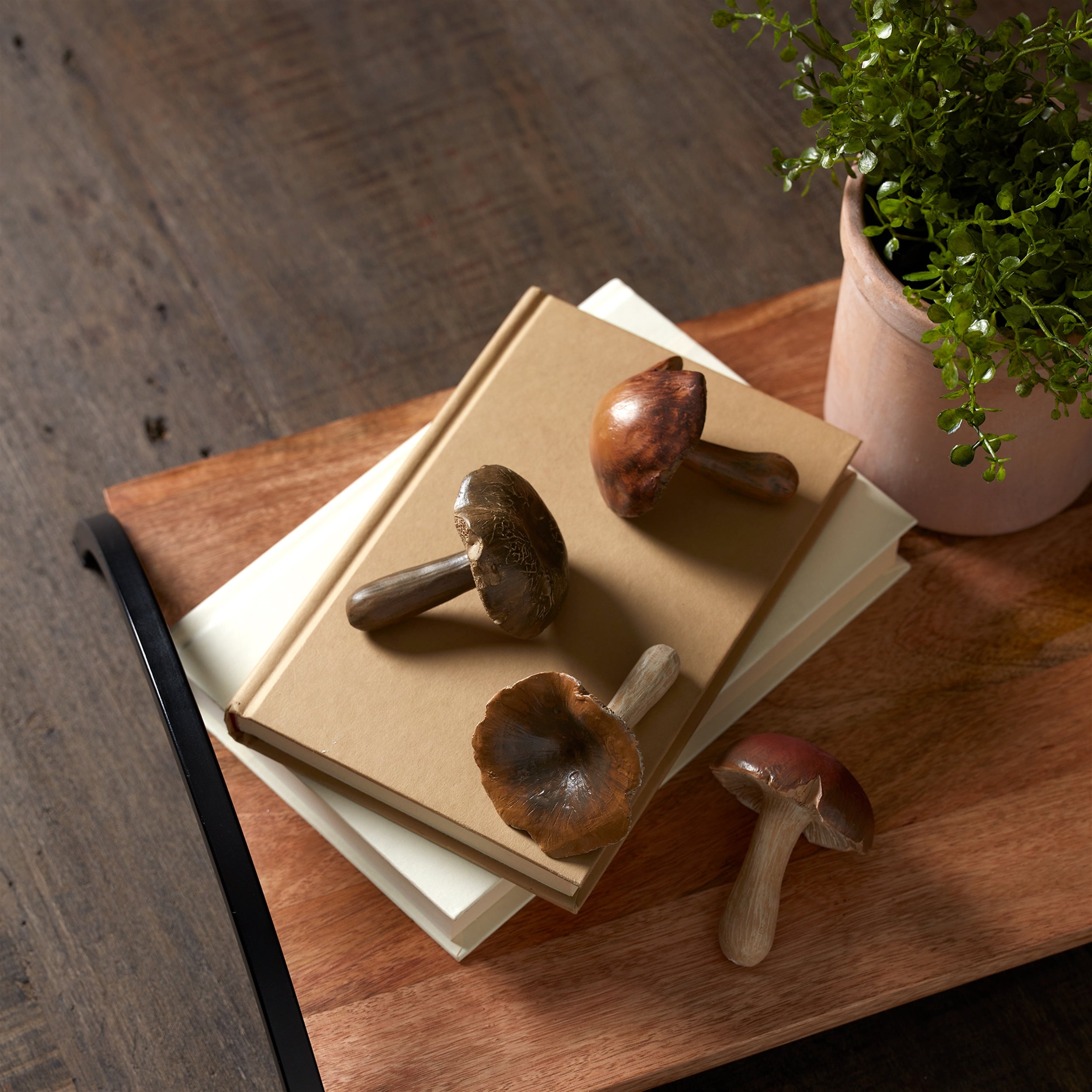 Stone Mushroom Shelf Sitter, Set of 12