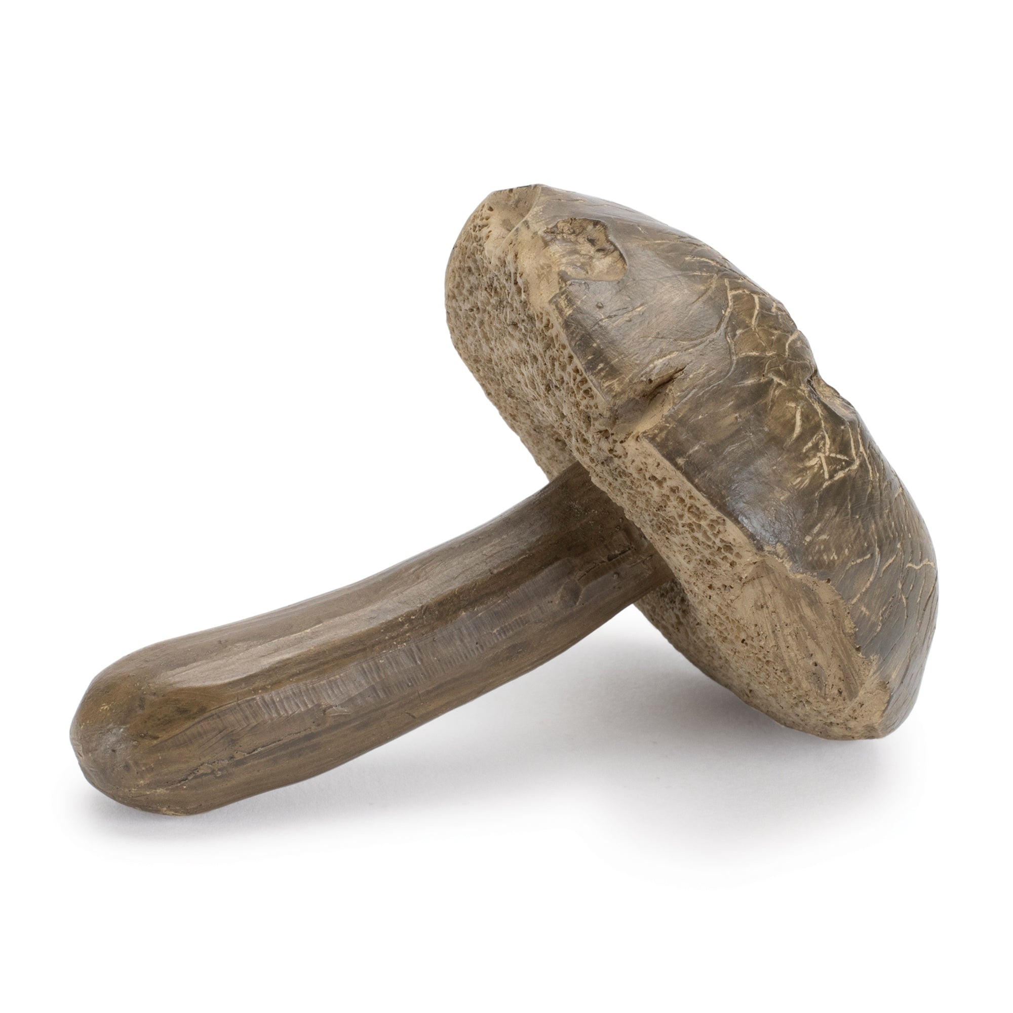Stone Mushroom Shelf Sitter, Set of 12