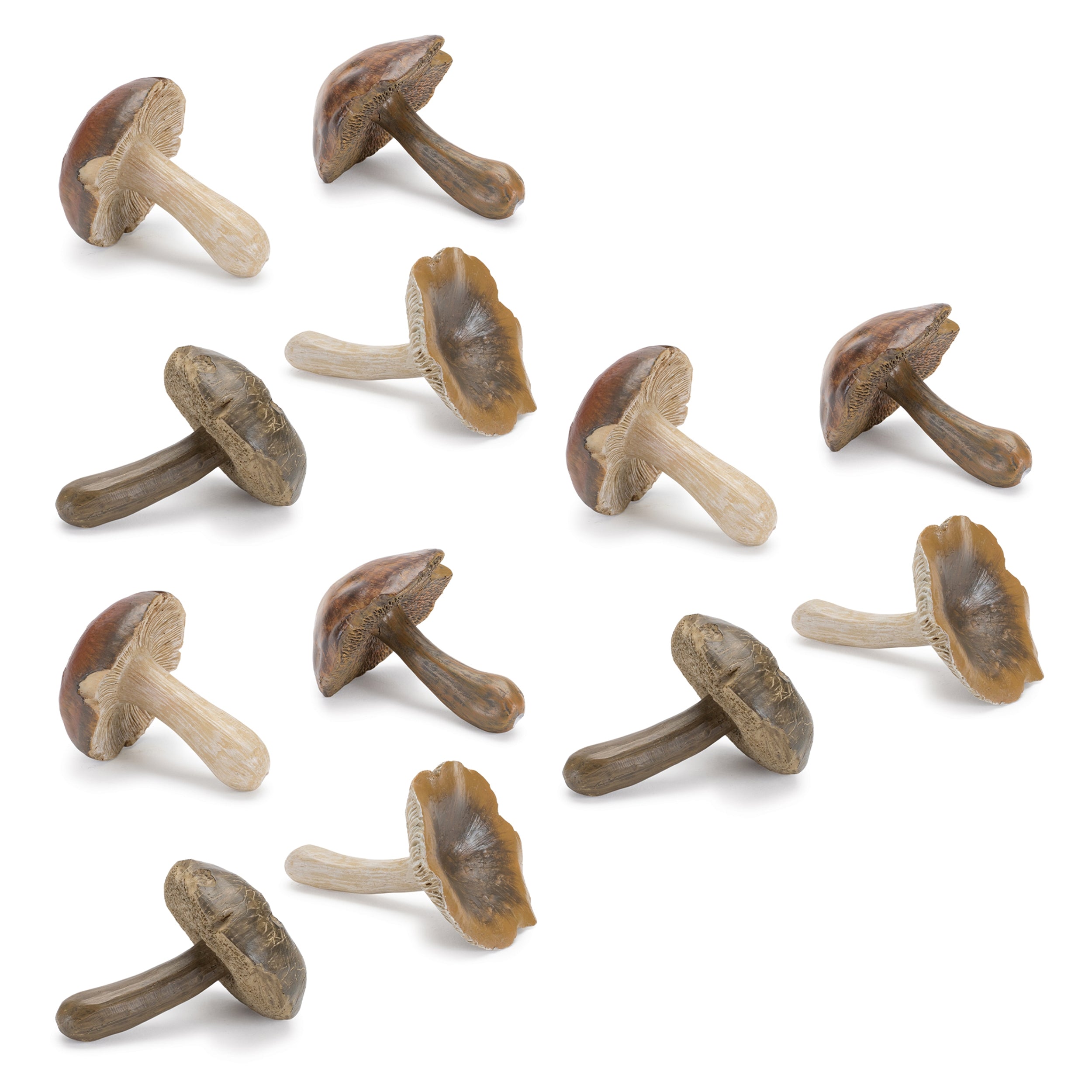 Stone Mushroom Shelf Sitter, Set of 12