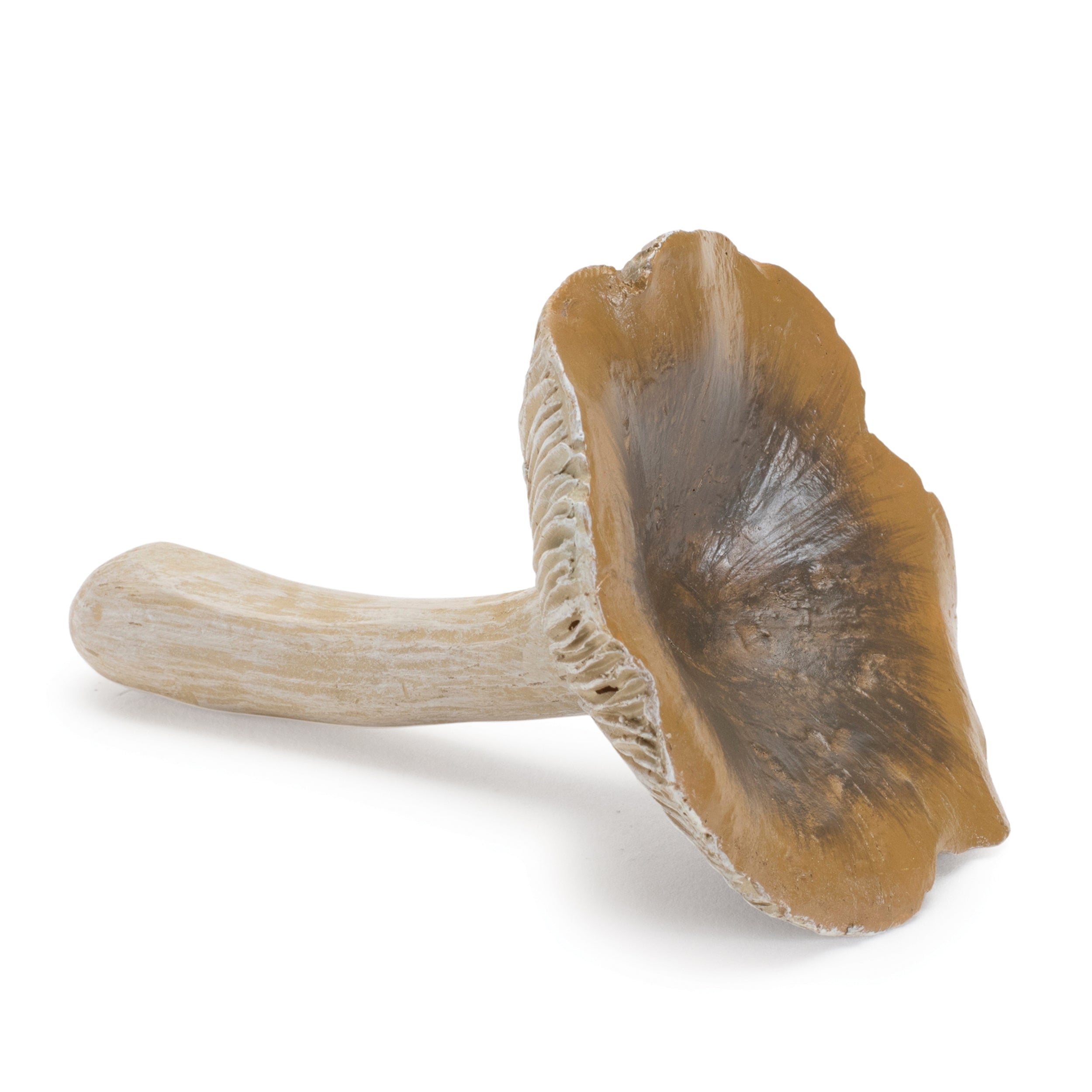 Stone Mushroom Shelf Sitter, Set of 12