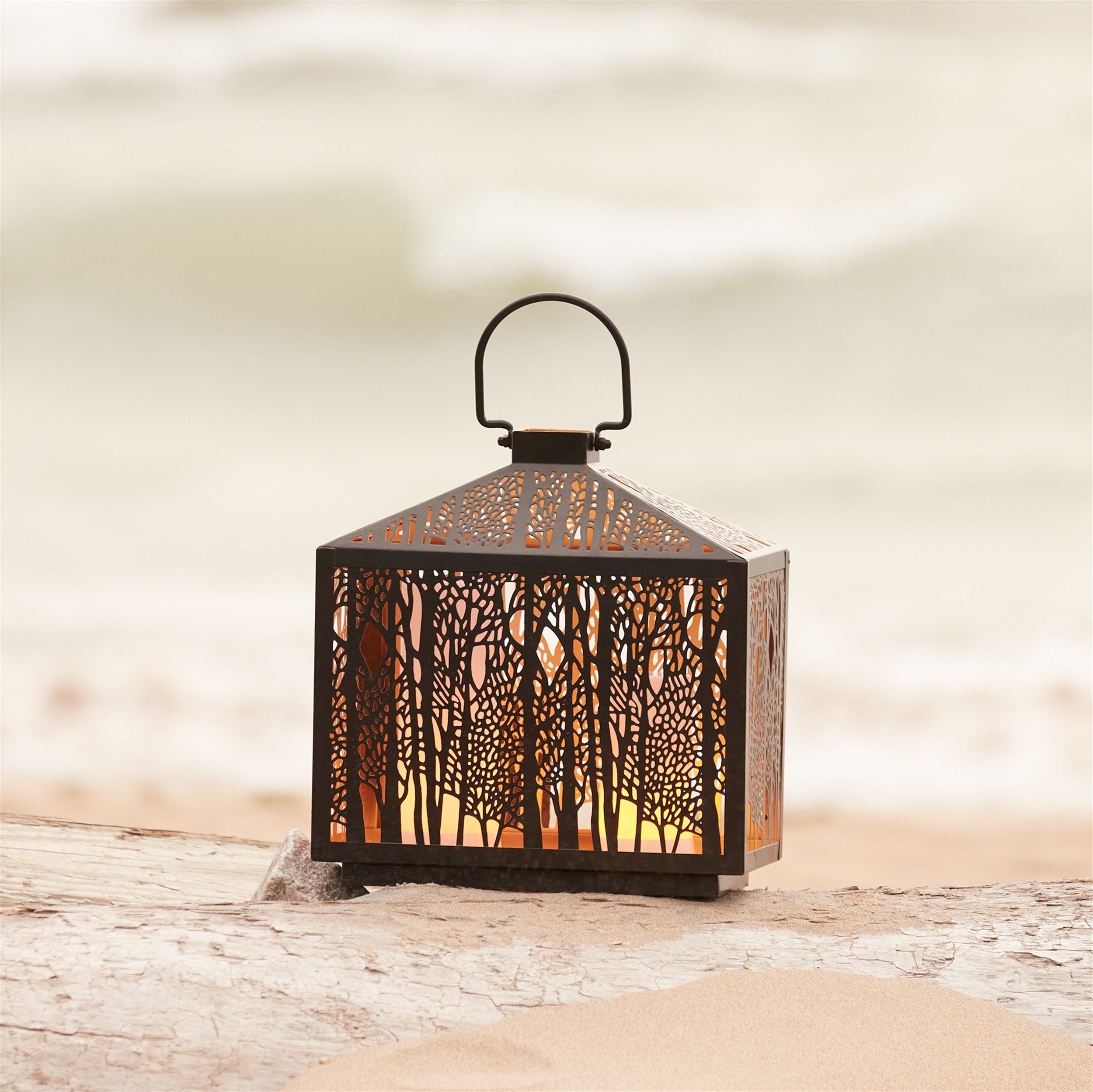 Forest Cut Metal Lantern with Gold Accent