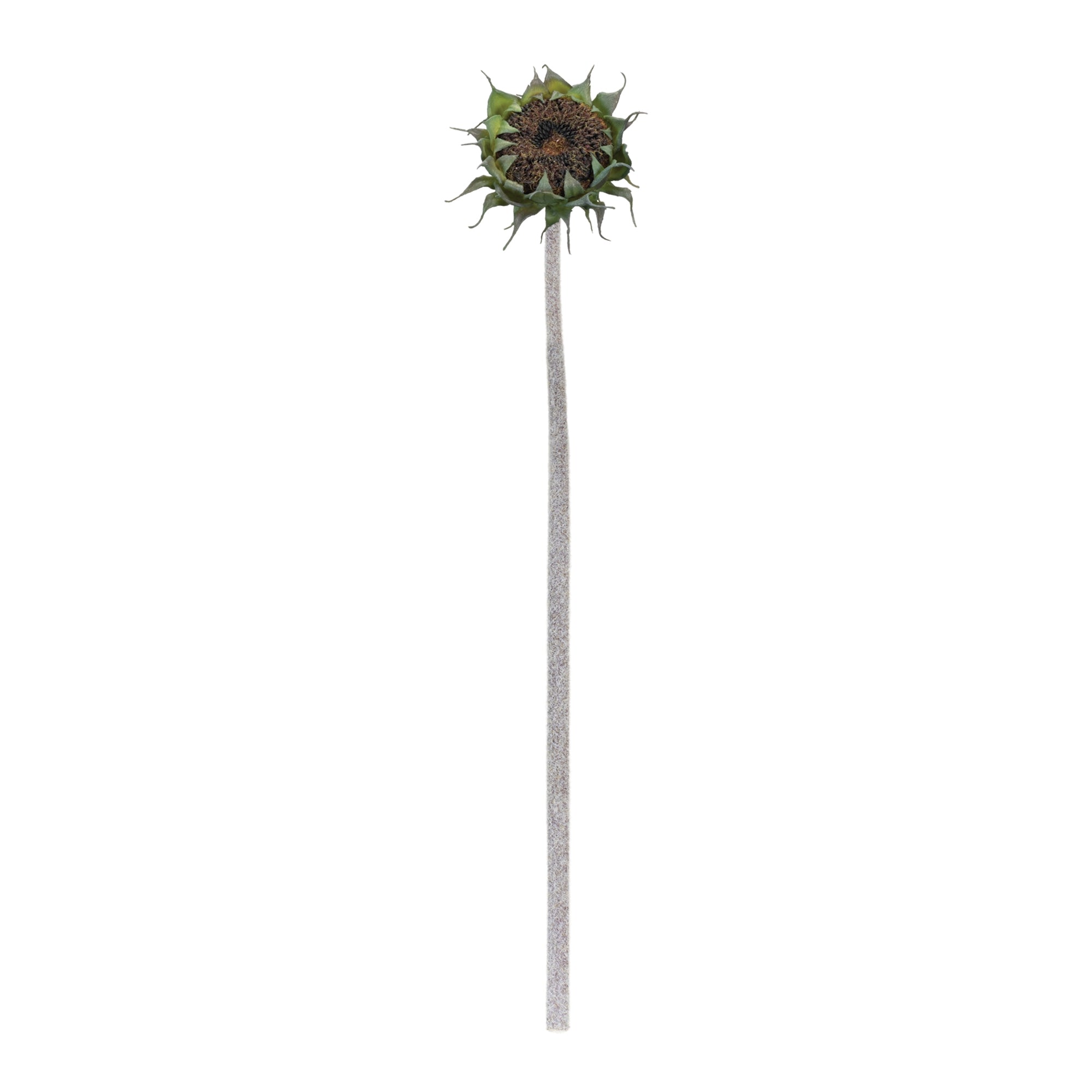 Brown Sunflower Stem, Set of 6