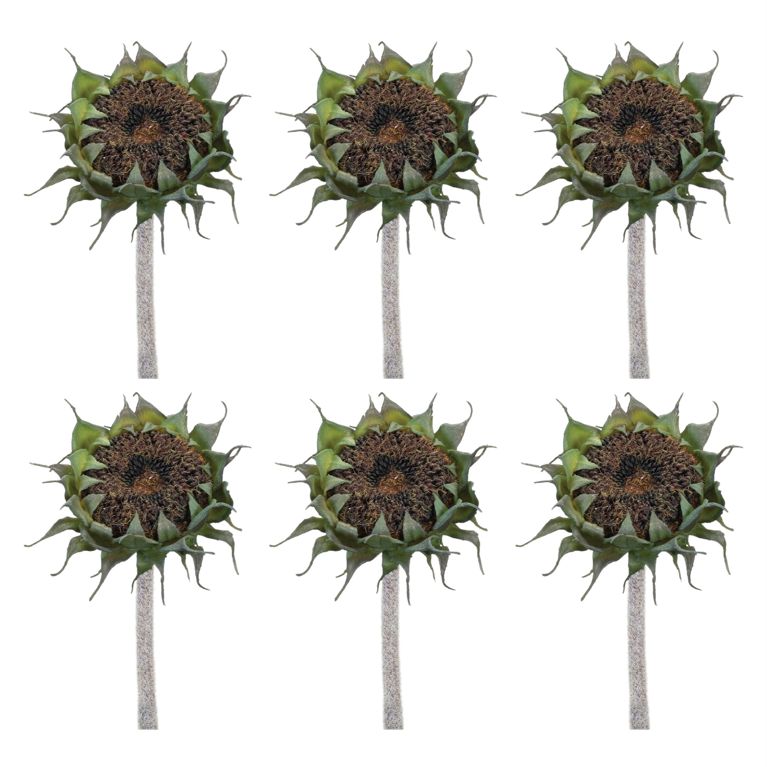 Brown Sunflower Stem, Set of 6
