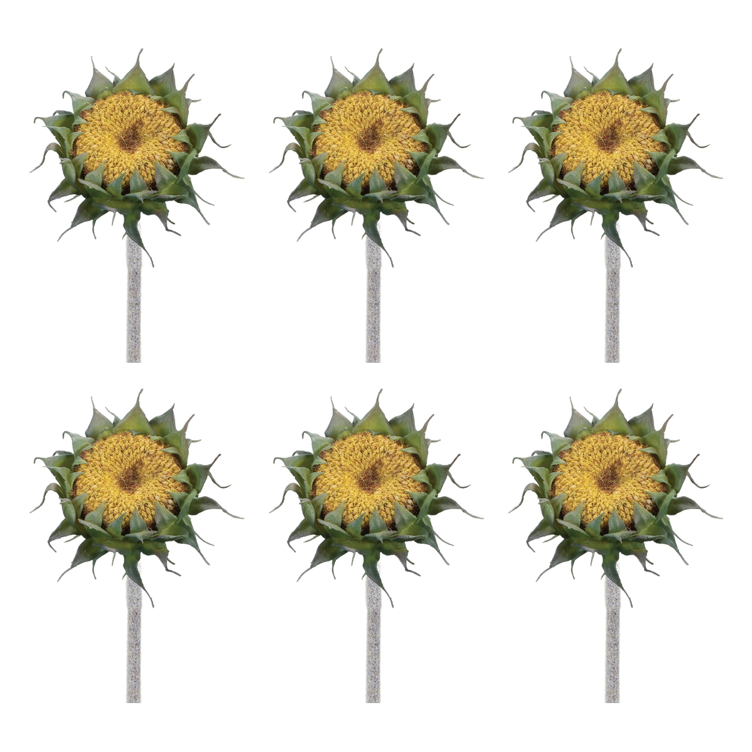 Yellow Sunflower Stem, Set of 6