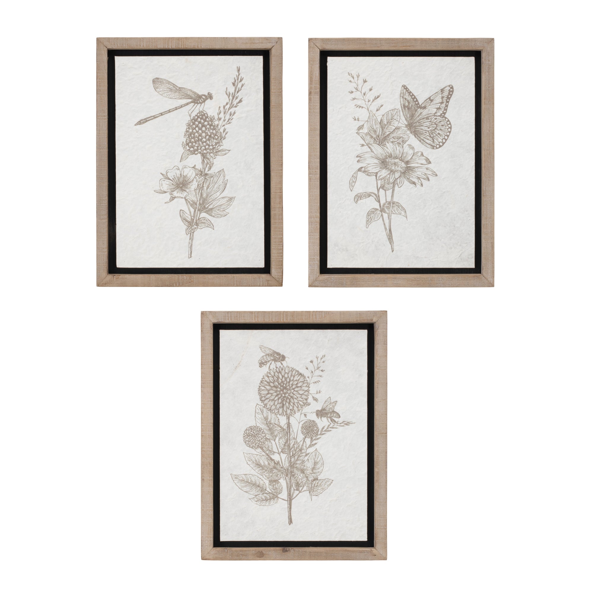 Framed Floral Insect Print, Set of 3