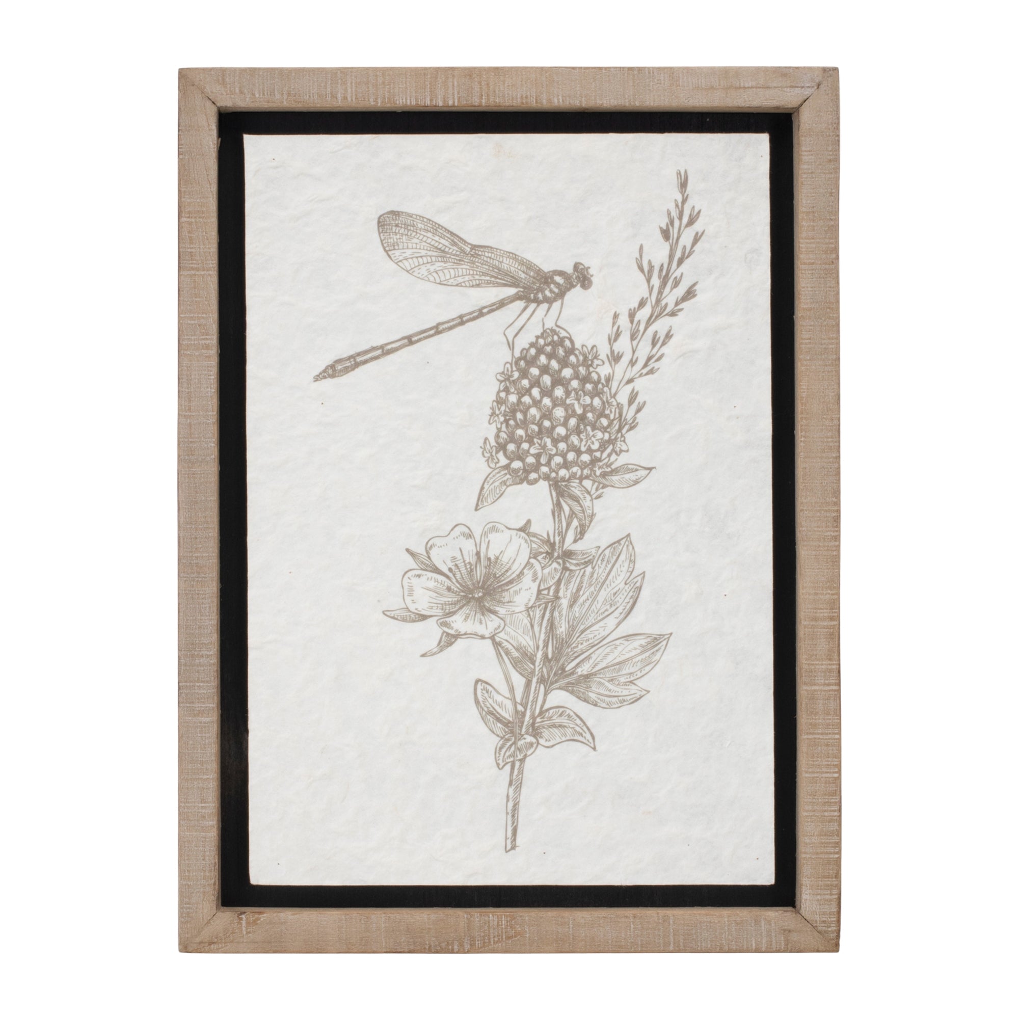Framed Floral Insect Print, Set of 3