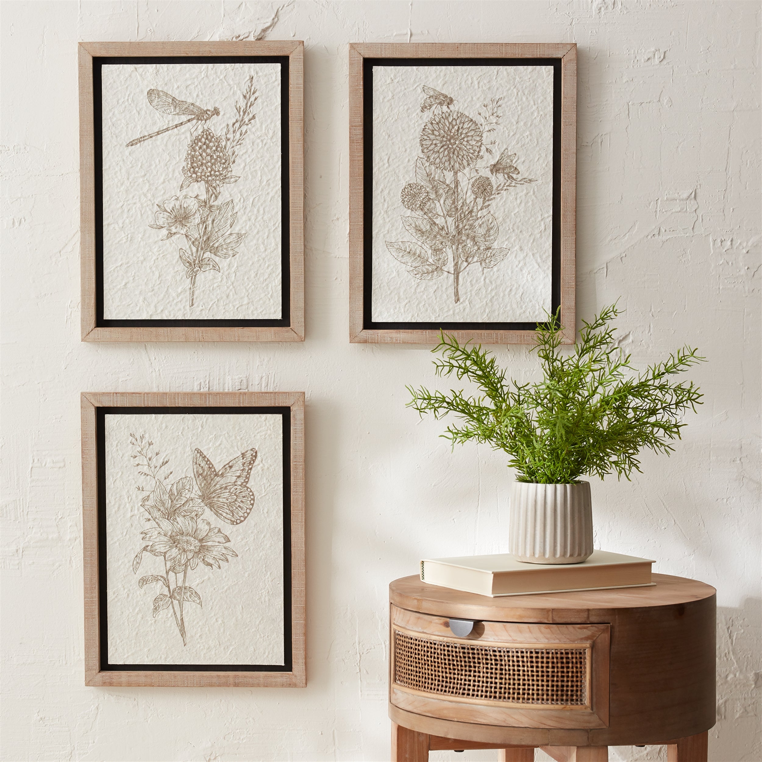 Framed Floral Insect Print, Set of 3