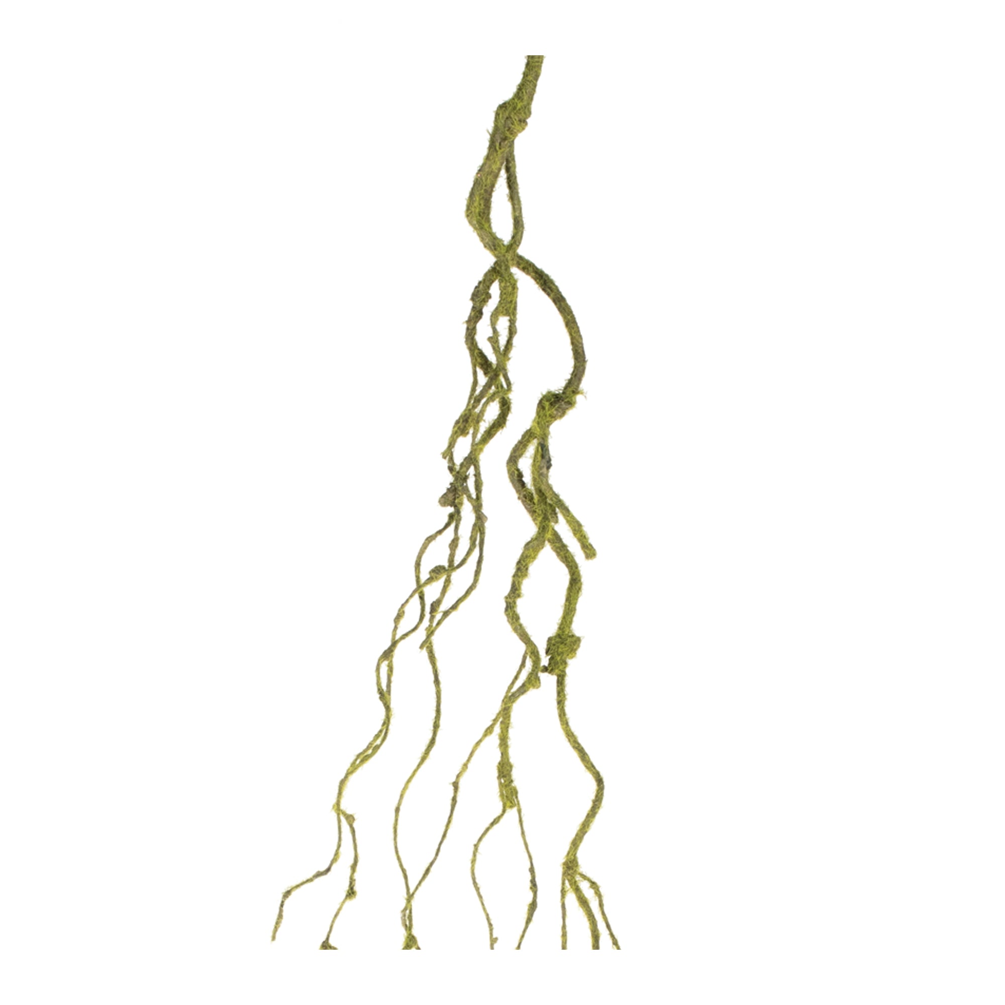 Mossy Twig Vine, Set of 6