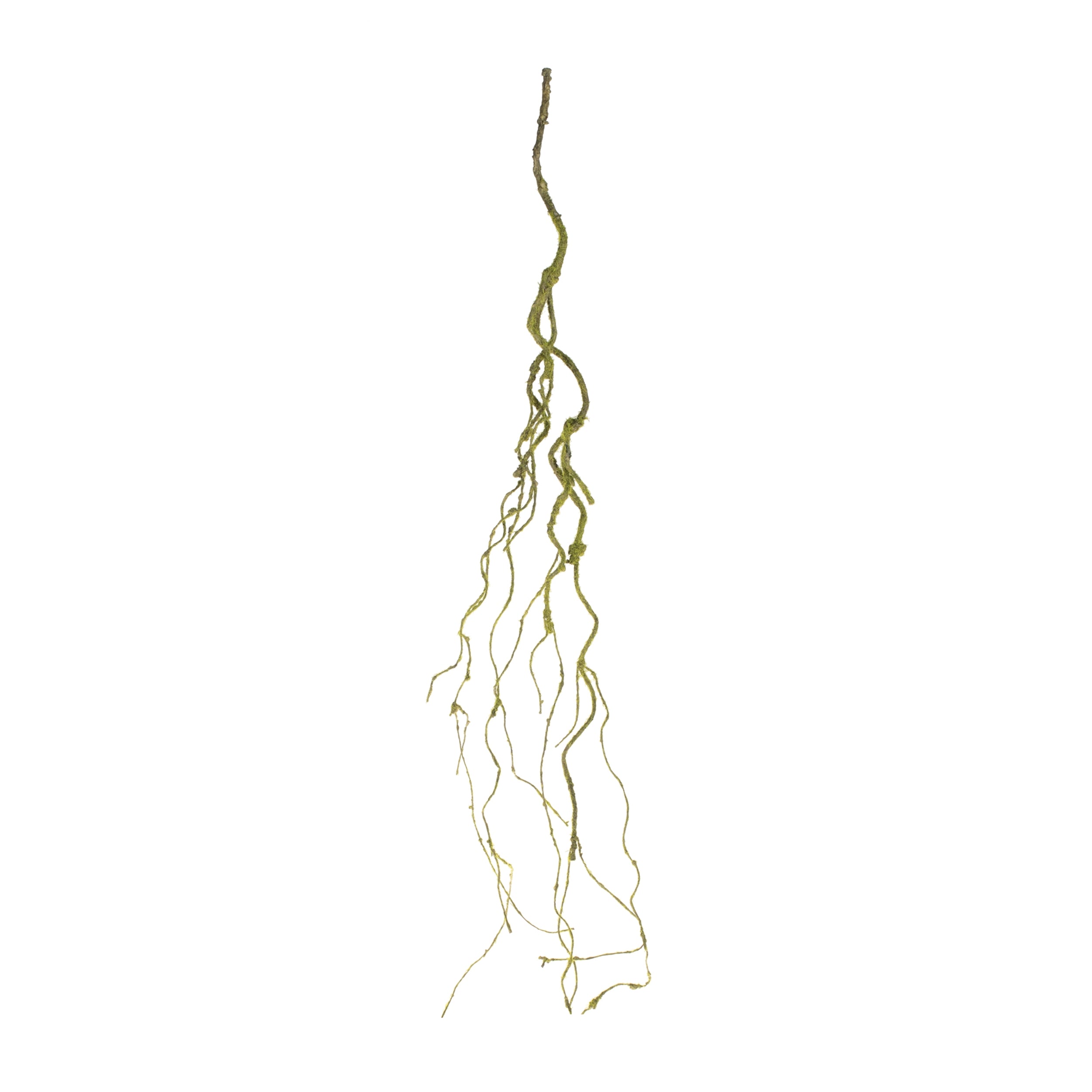 Mossy Twig Vine, Set of 6