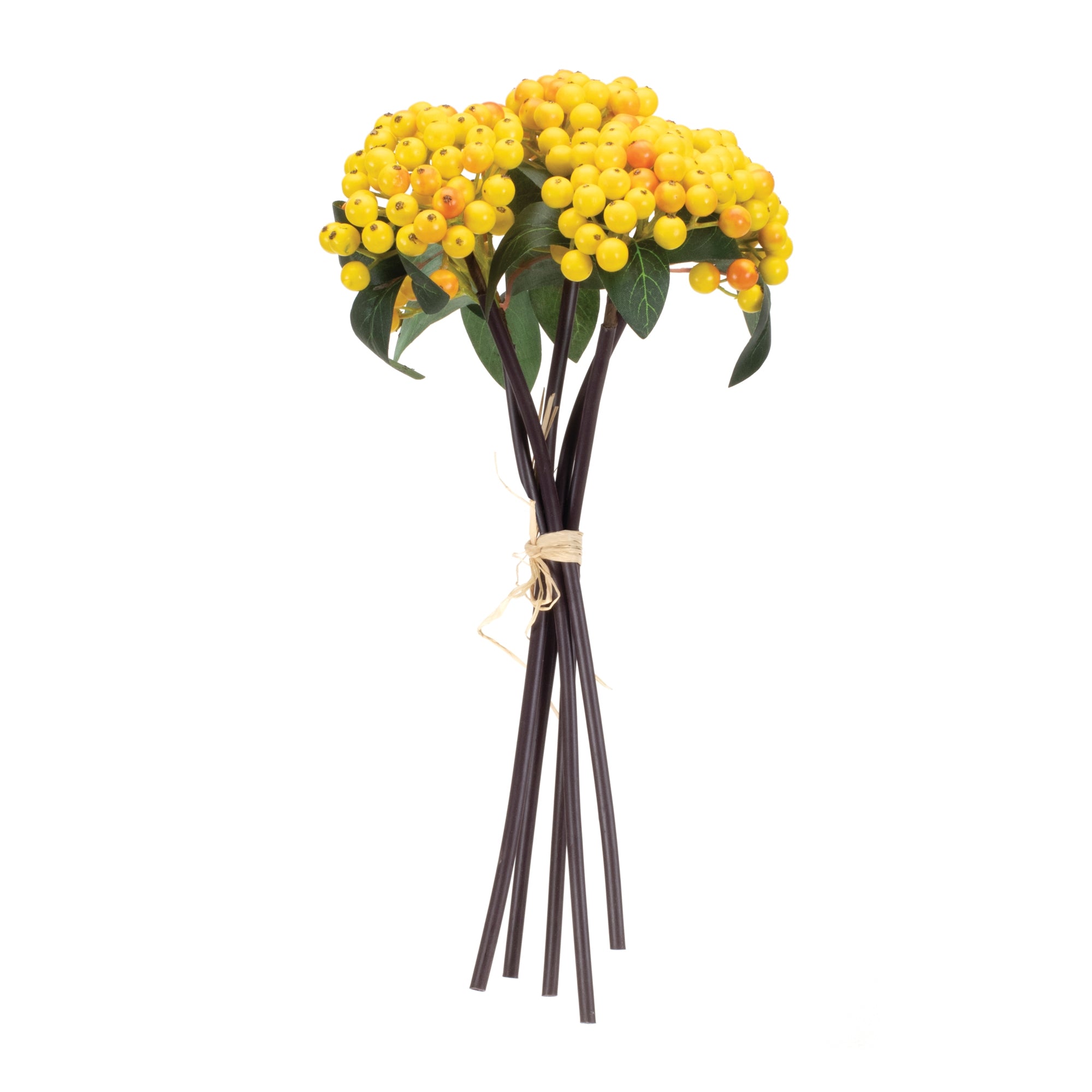 Yellow Berry Bundle, Set of 2