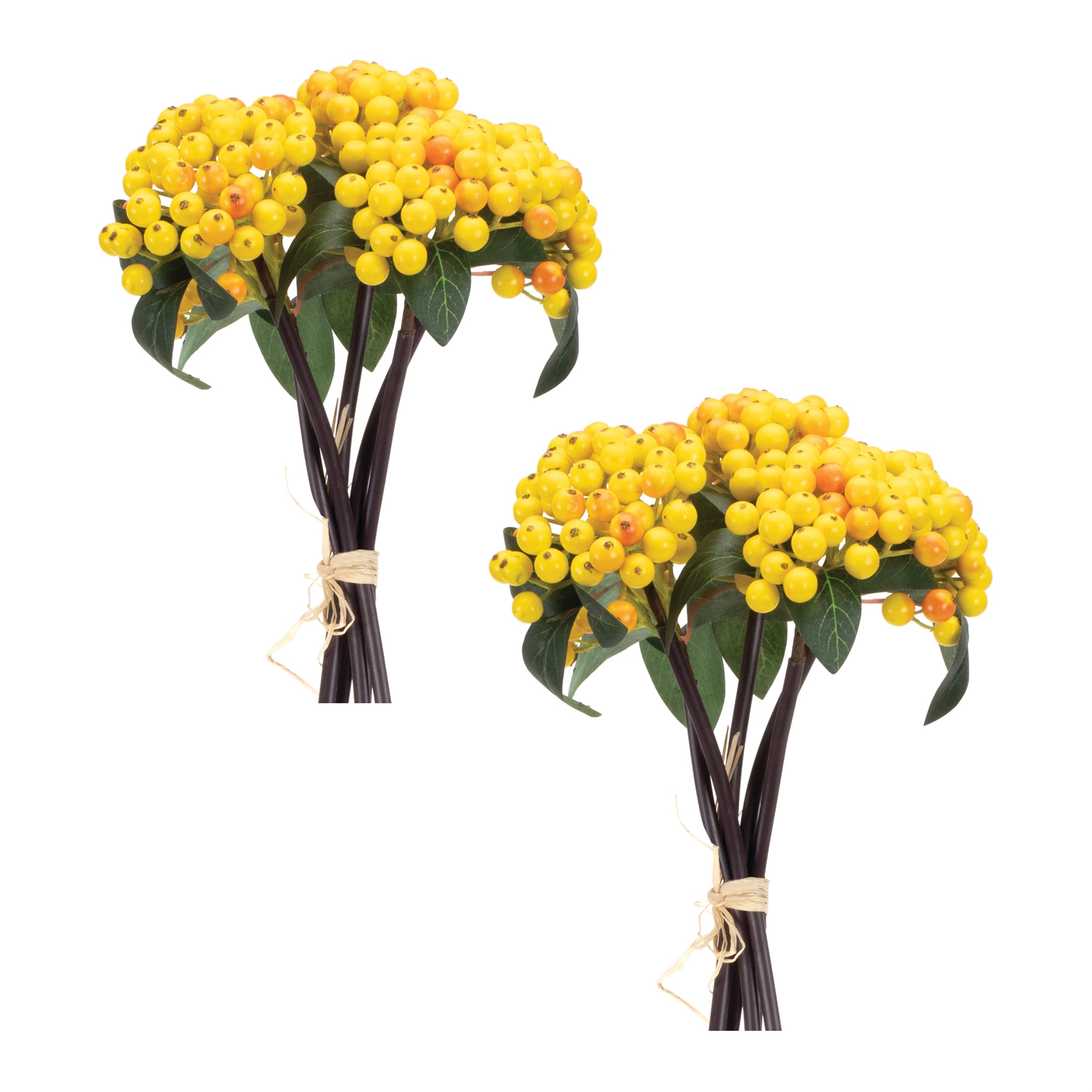 Yellow Berry Bundle, Set of 2