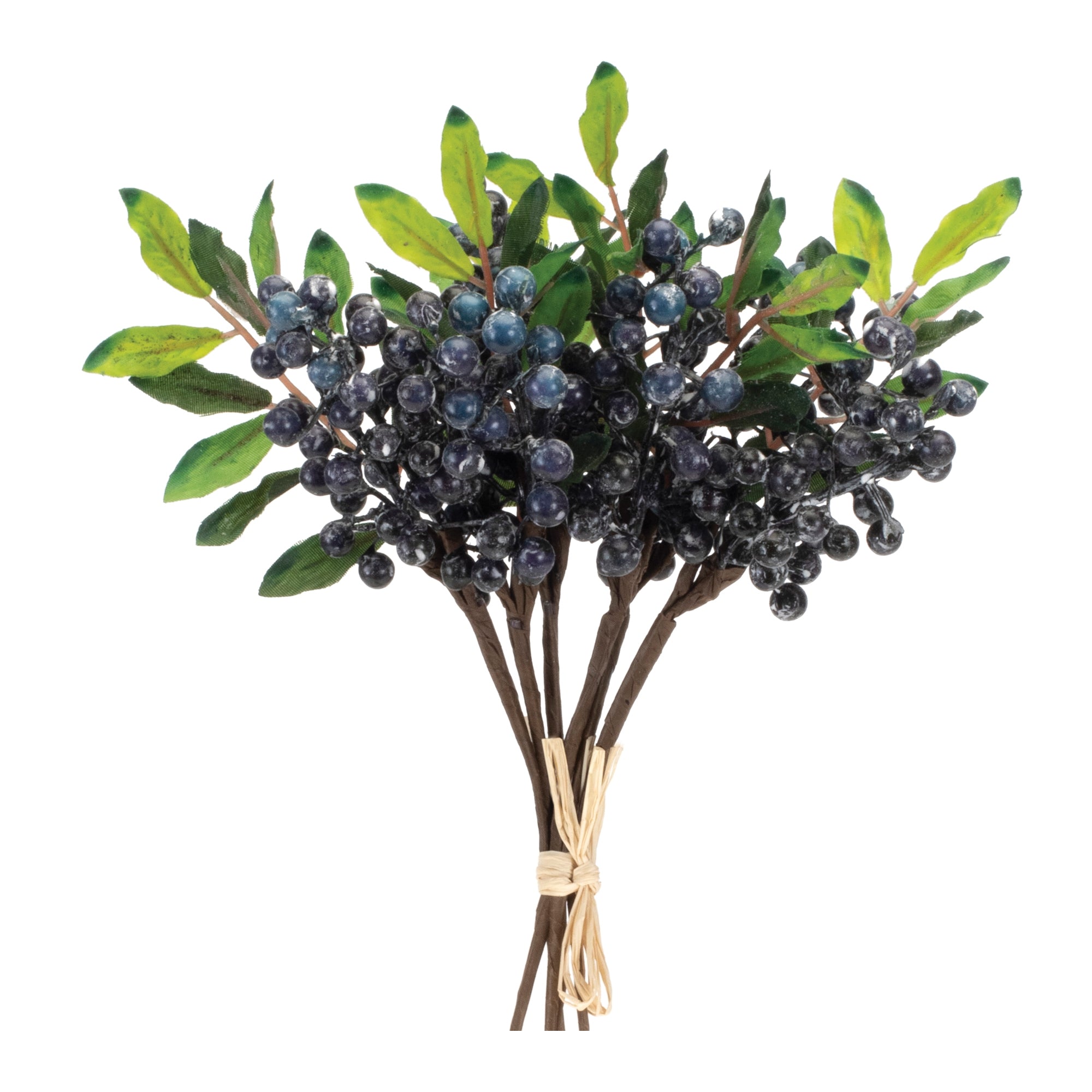 Blue Berry Foliage Bundle, Set of 2