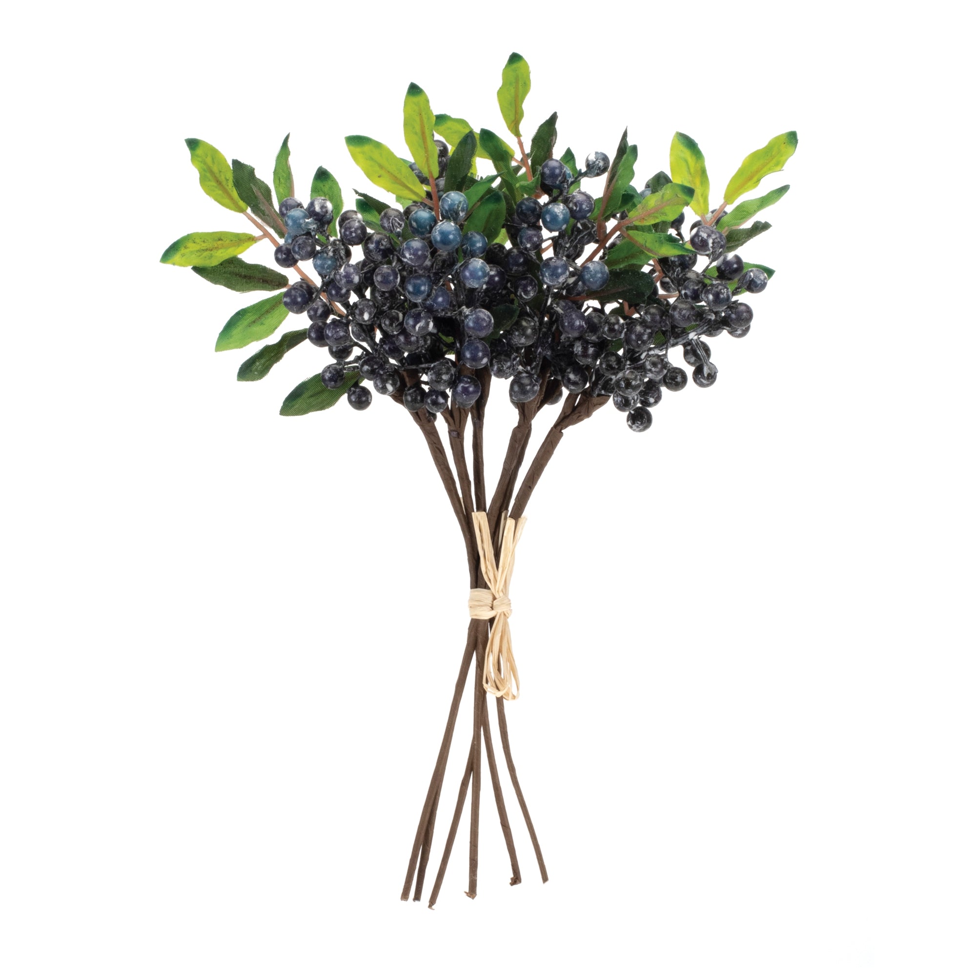 Blue Berry Foliage Bundle, Set of 2
