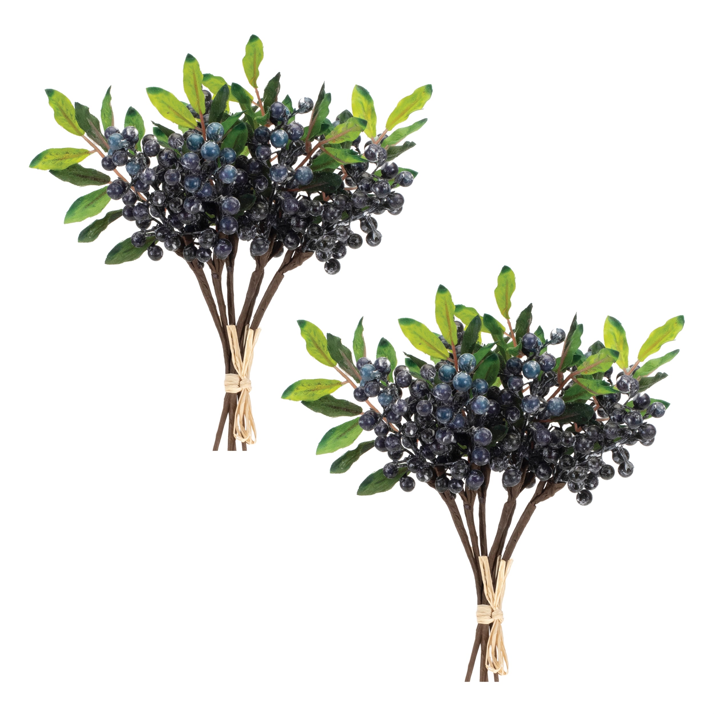 Blue Berry Foliage Bundle, Set of 2