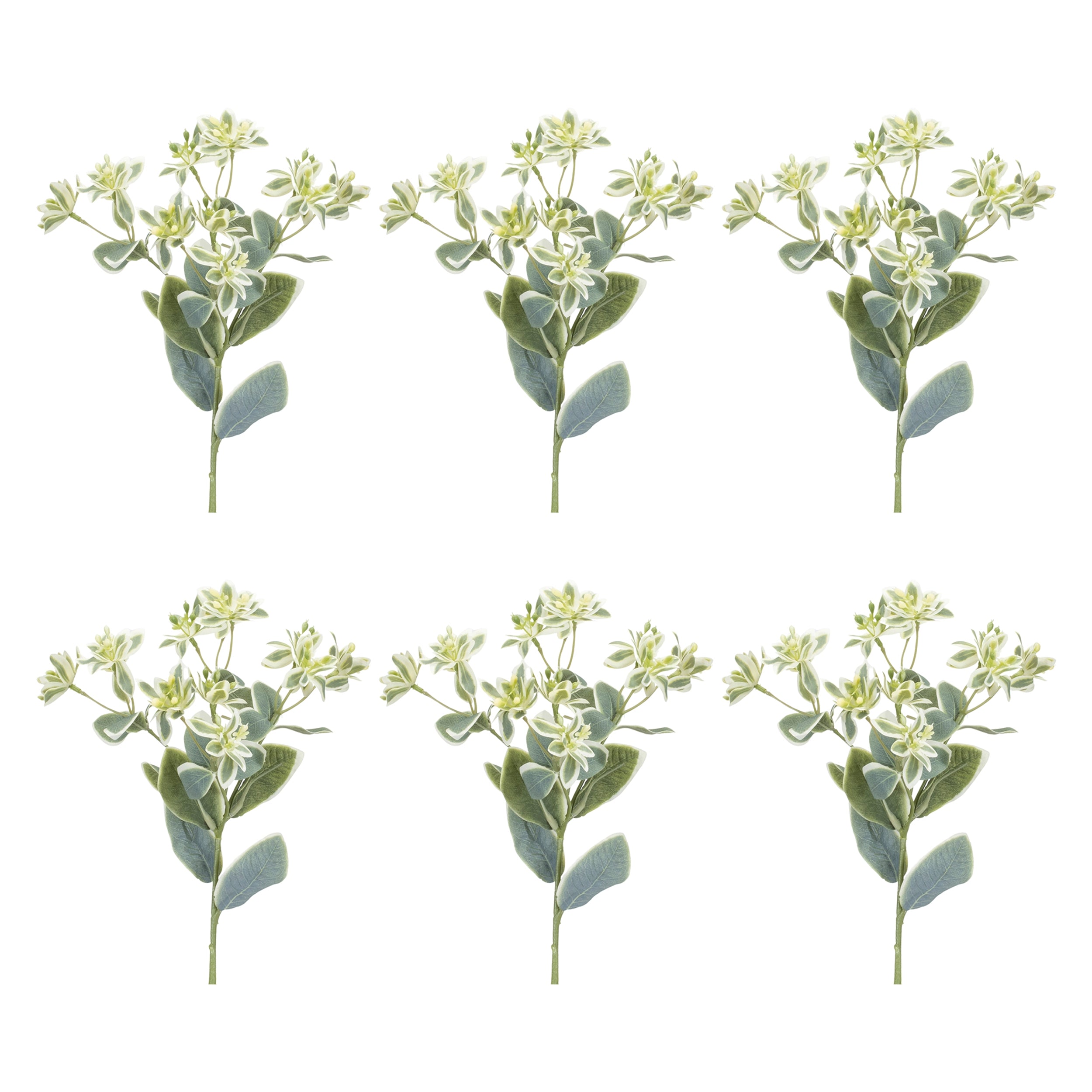 Euphorbia Floral Stem, Set of 6