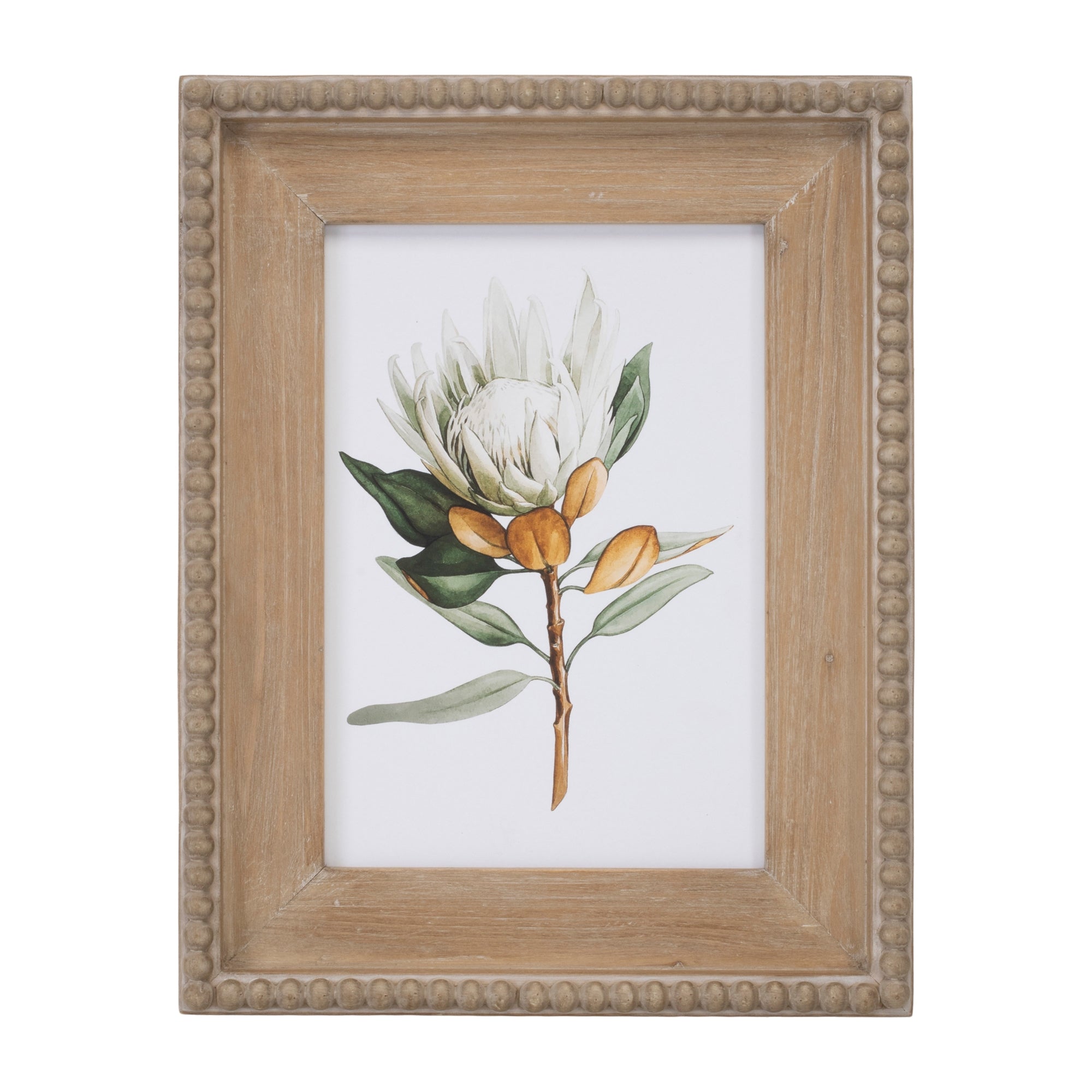 Wood Framed Protea Floral Print, Set of 2