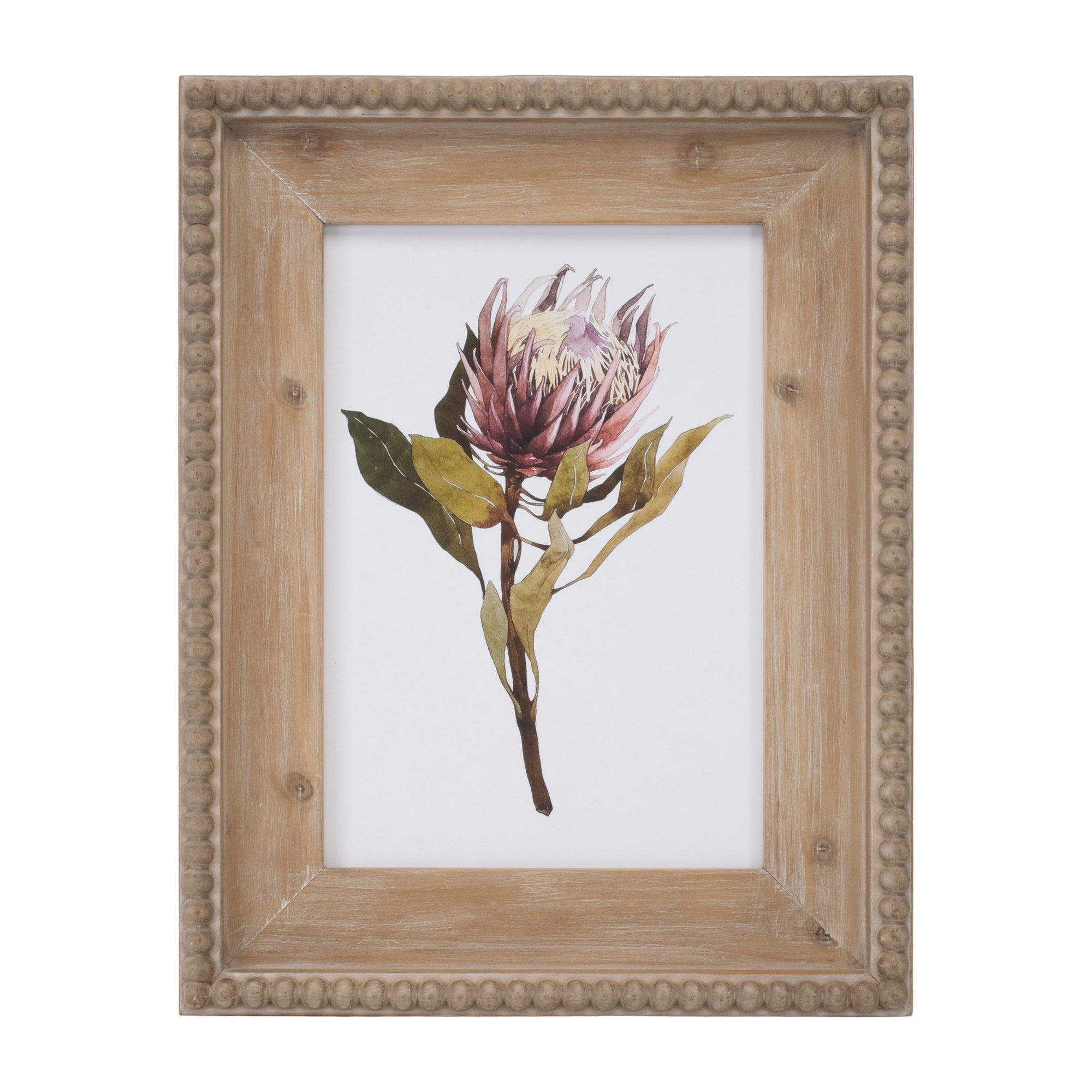 Wood Framed Protea Floral Print, Set of 2