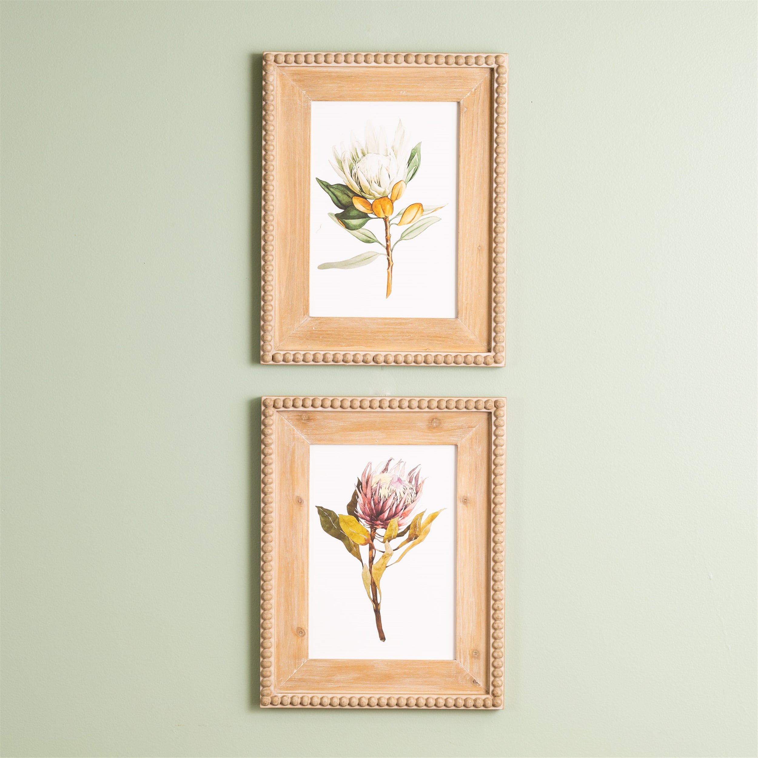 Wood Framed Protea Floral Print, Set of 2