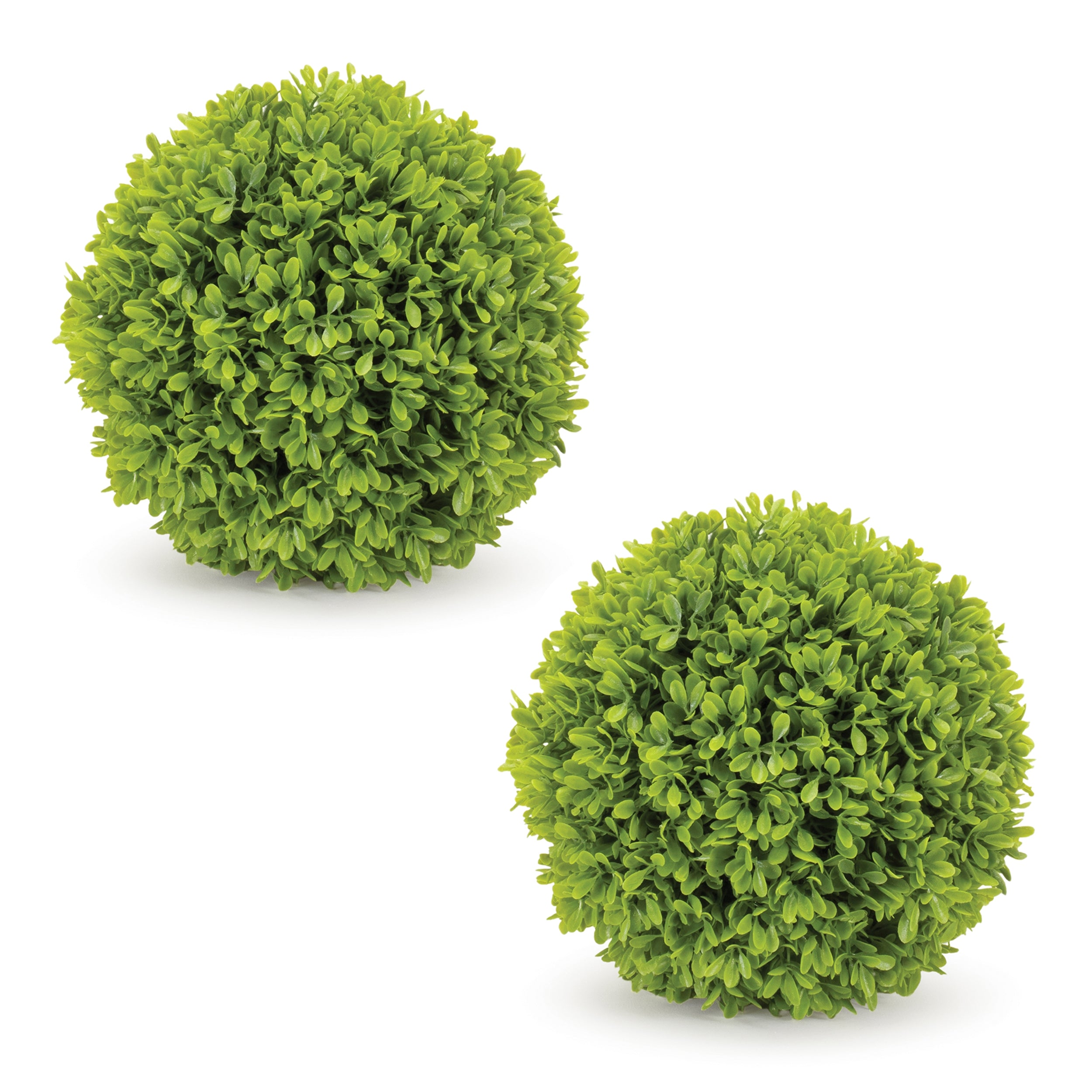 Boxwood Foliage Orb, Set of 2