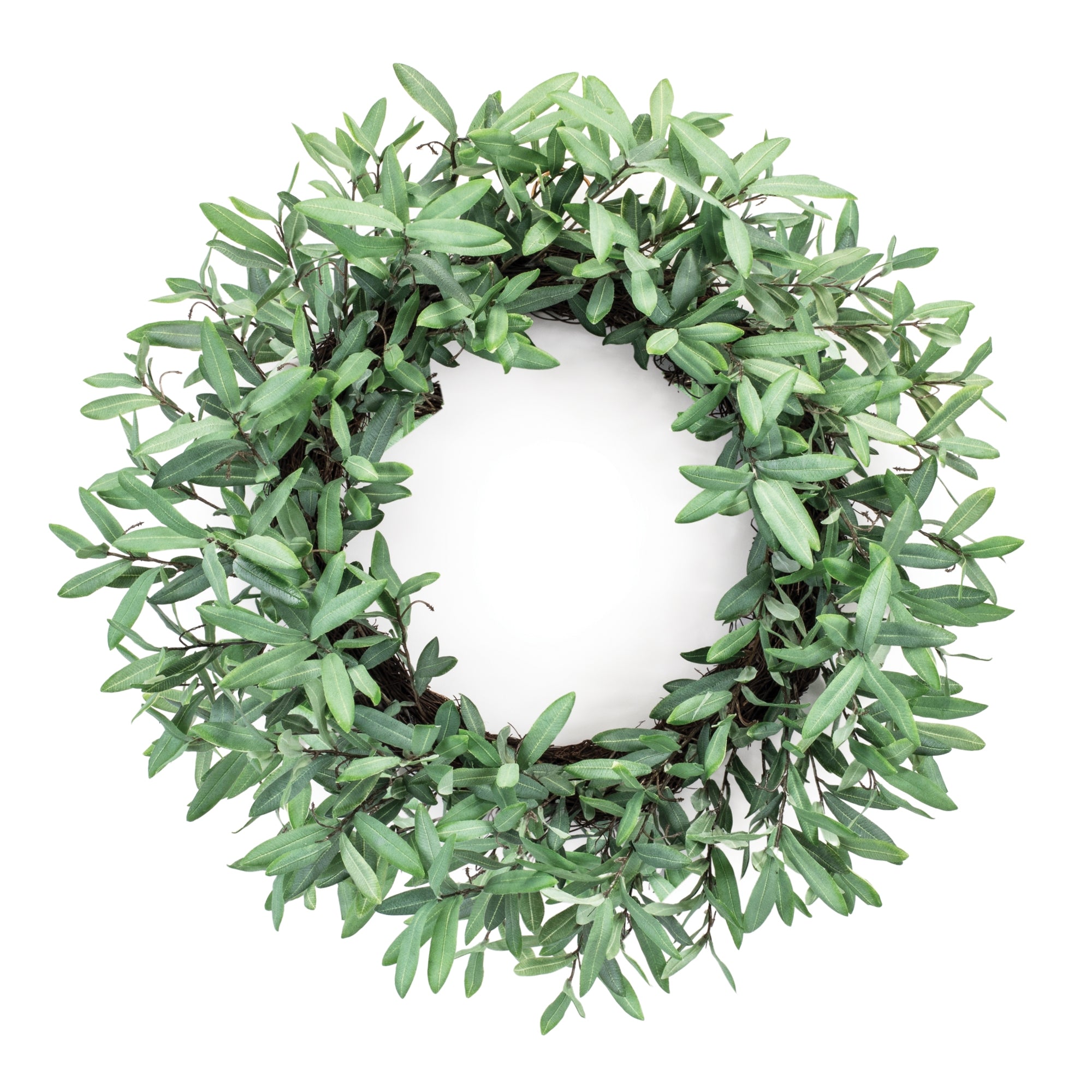Olive Leaf Foliage Wreath