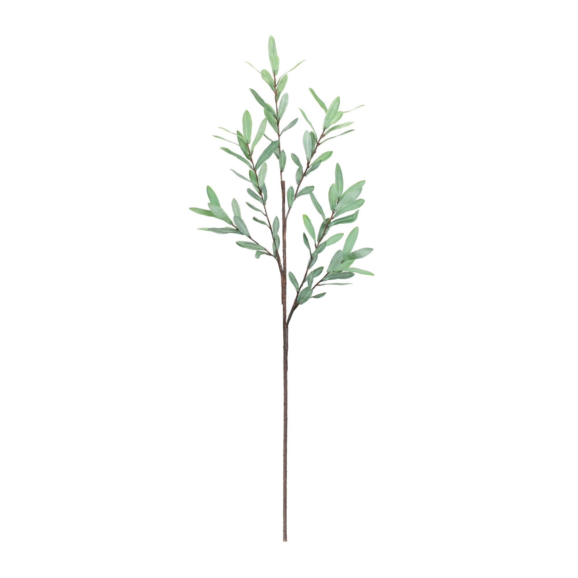 Olive Leaf Twig Branch, Set of 2