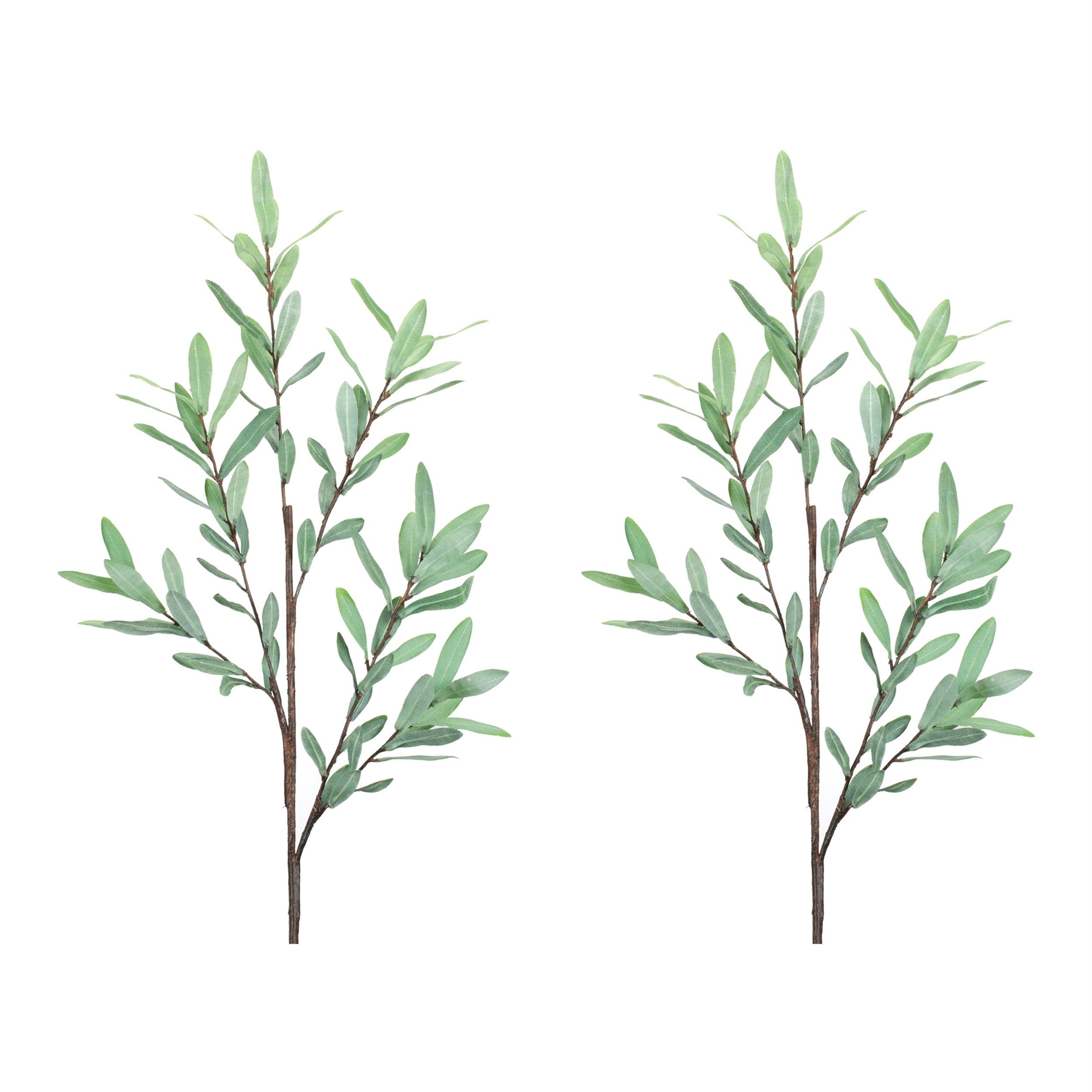 Olive Leaf Twig Branch, Set of 2