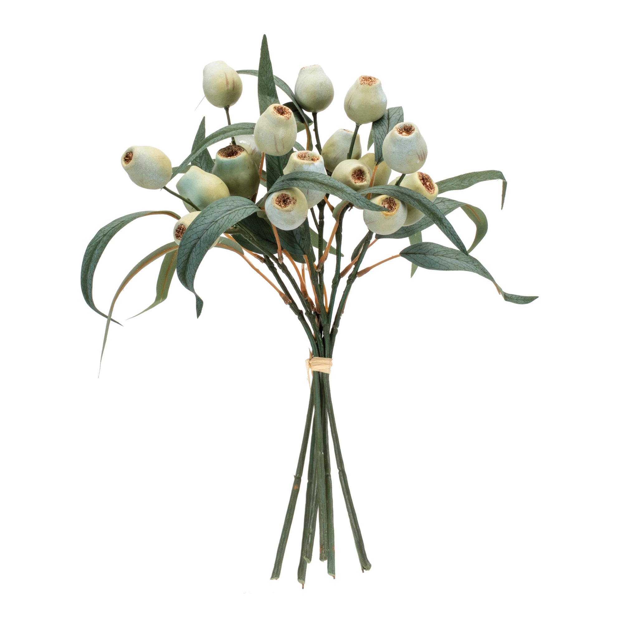 Green Pod Foliage Bundle, Set of 2