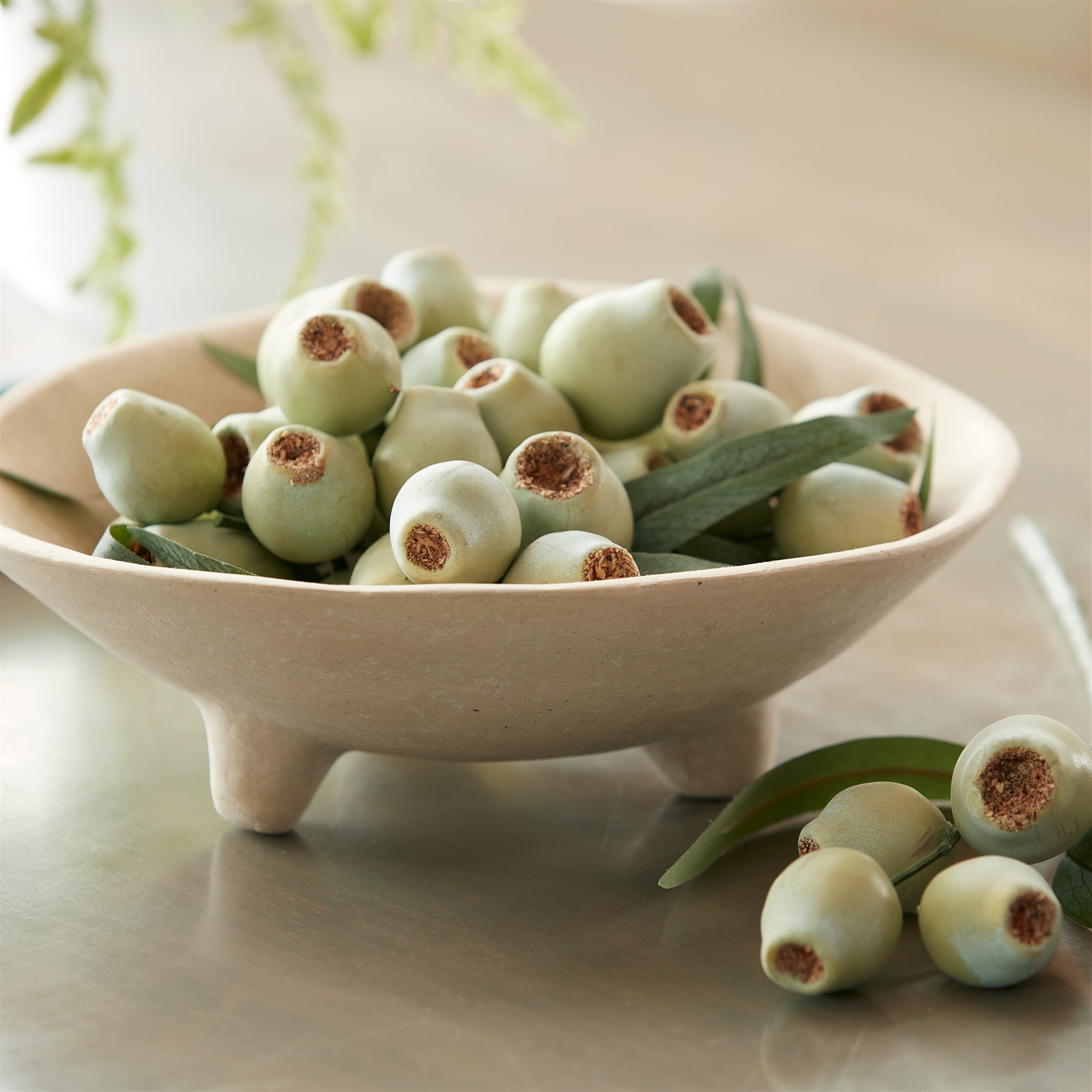 Green Pod Foliage Bundle, Set of 2