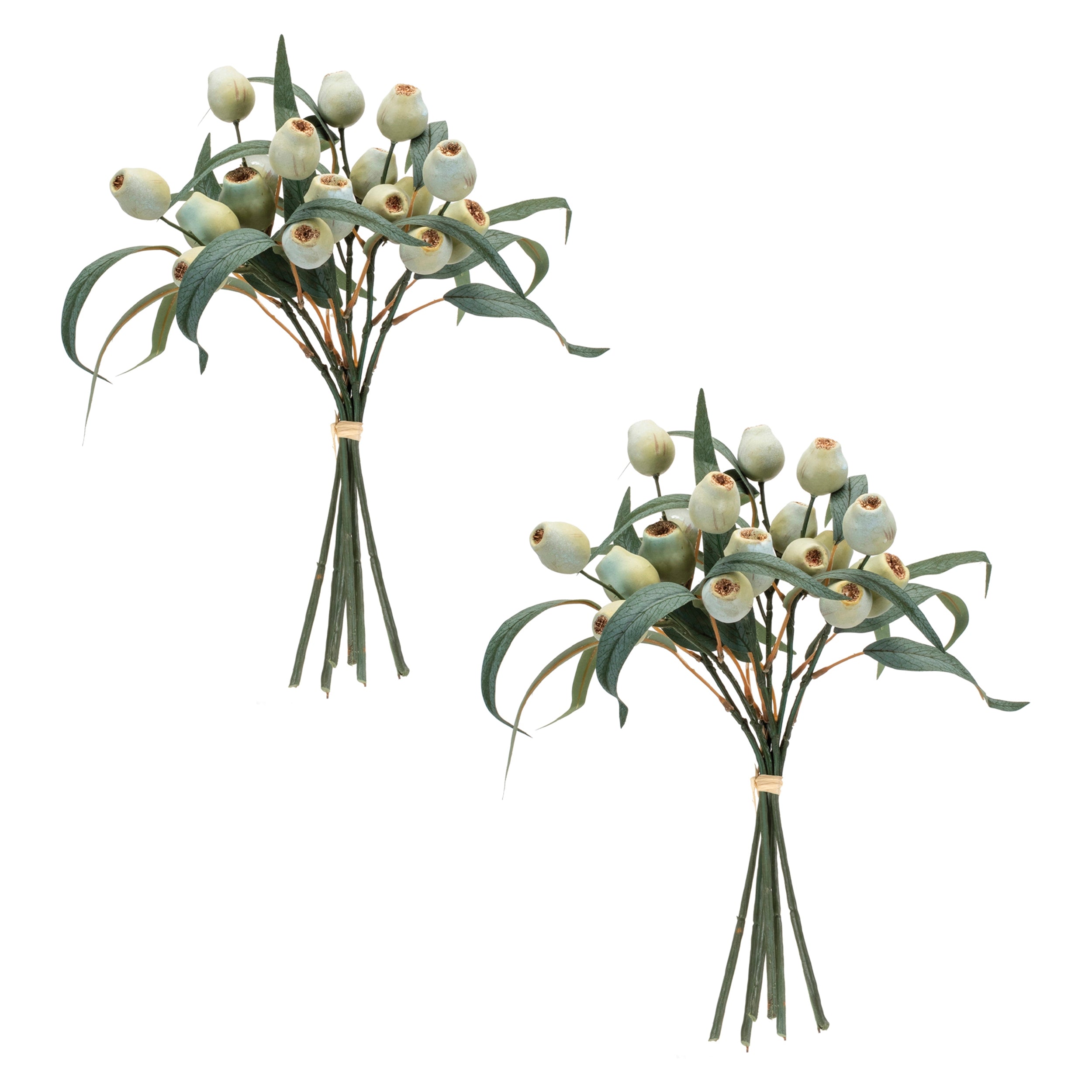 Green Pod Foliage Bundle, Set of 2