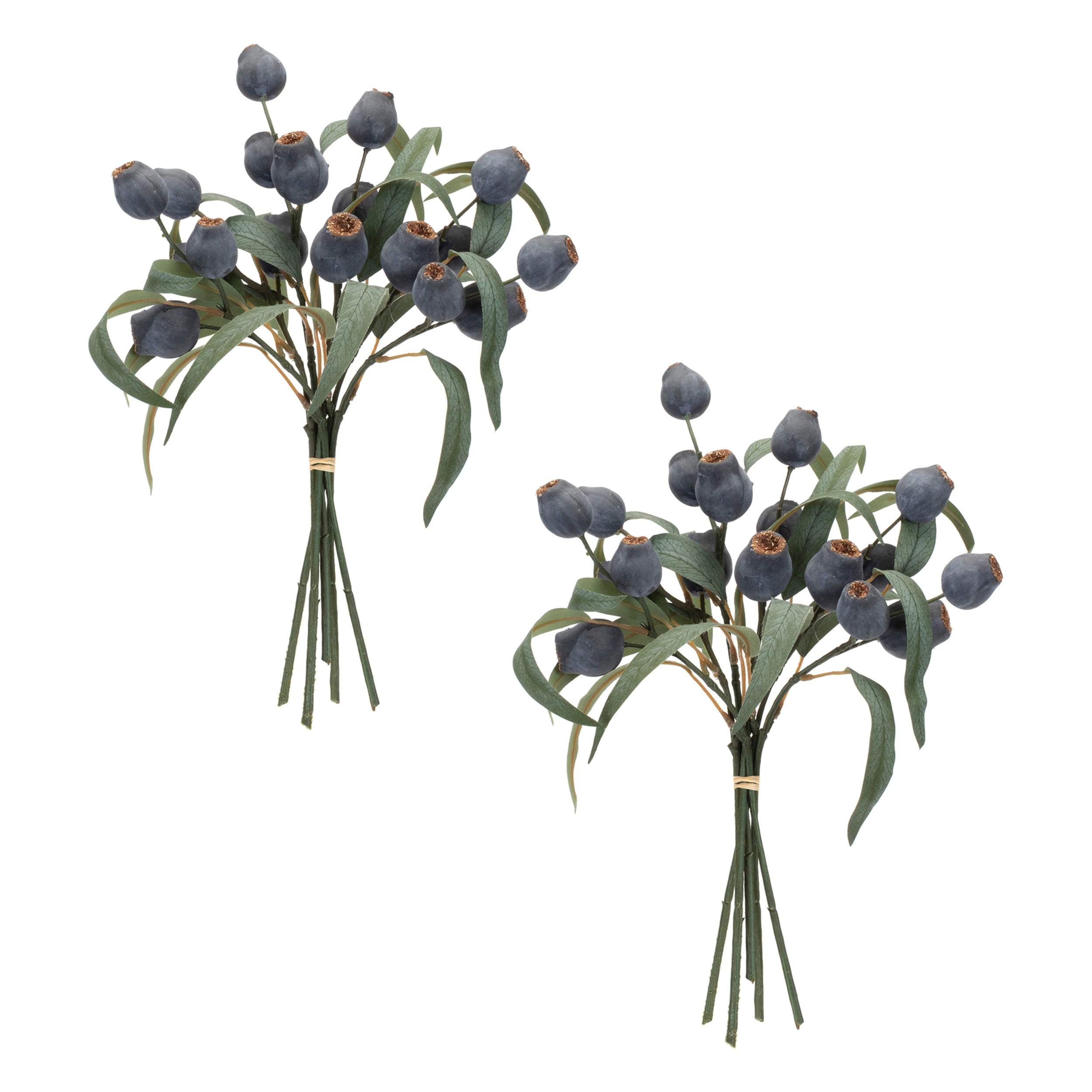 Blue Pod Foliage Bundle, Set of 2