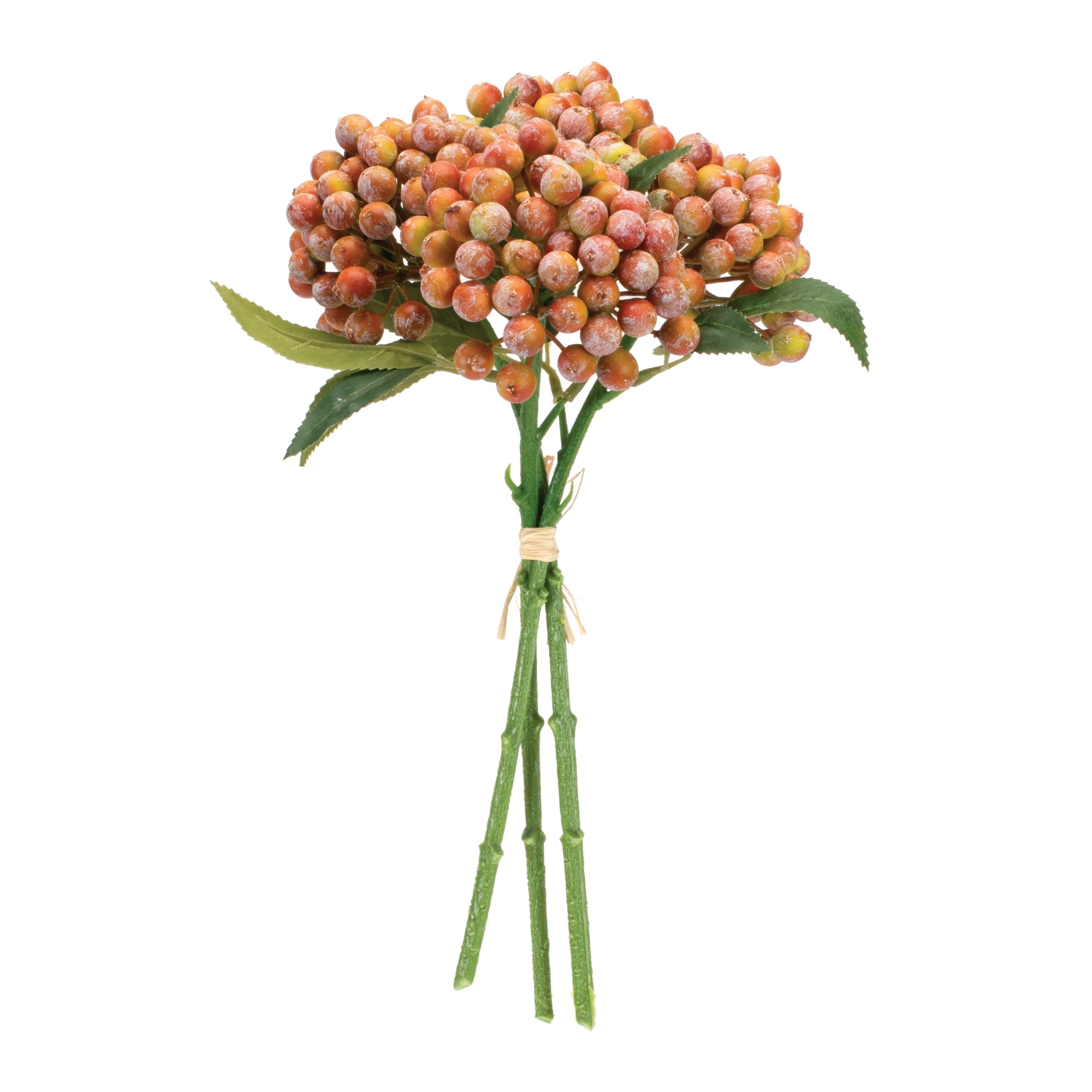 Orange Berry Bundle, Set of 2