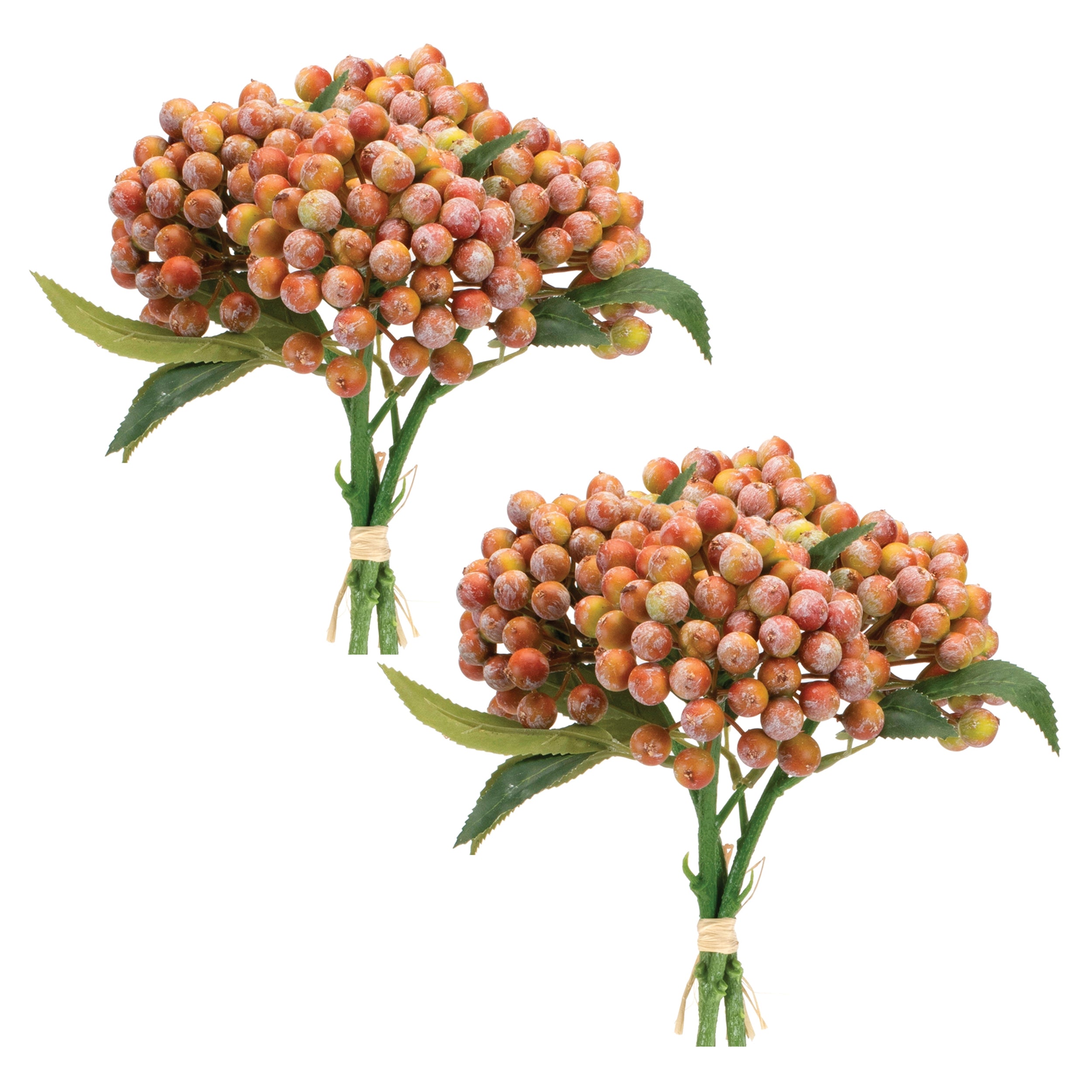 Orange Berry Bundle, Set of 2