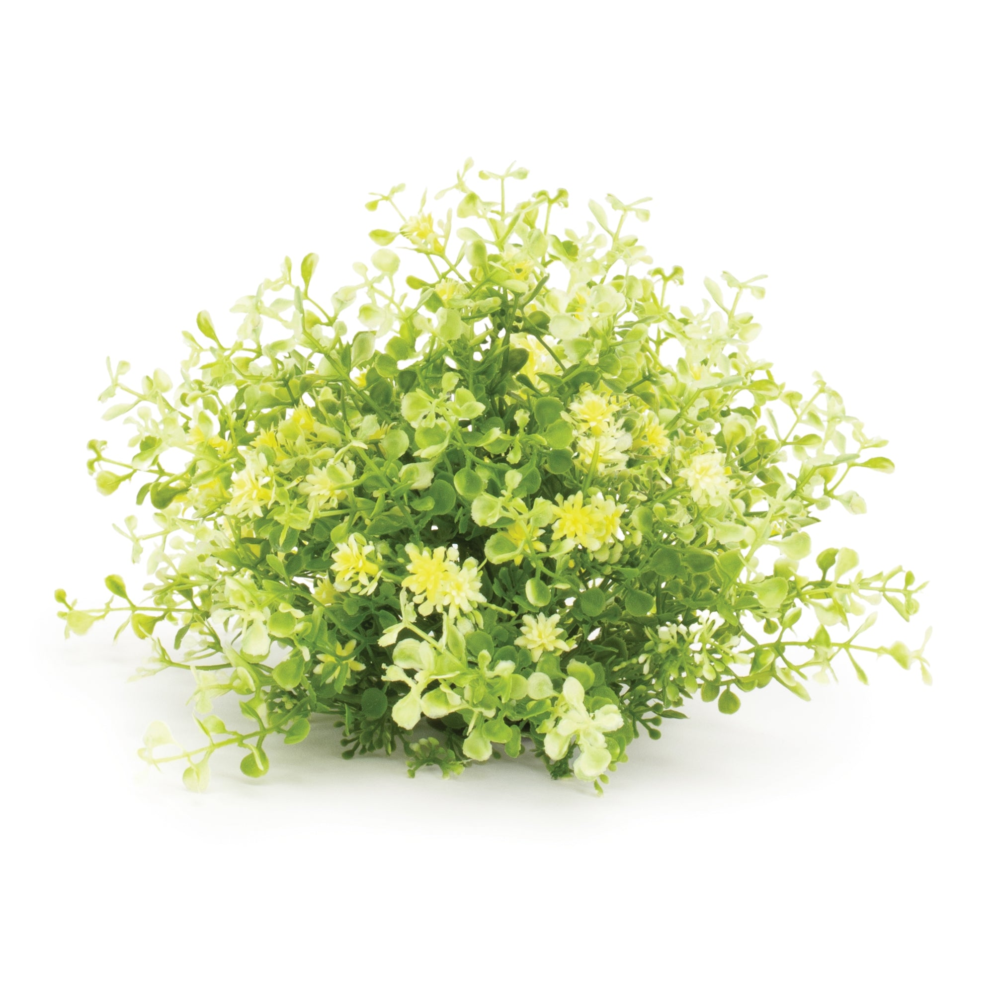 Mini Leaf Foliage Half Orb, Set of 2