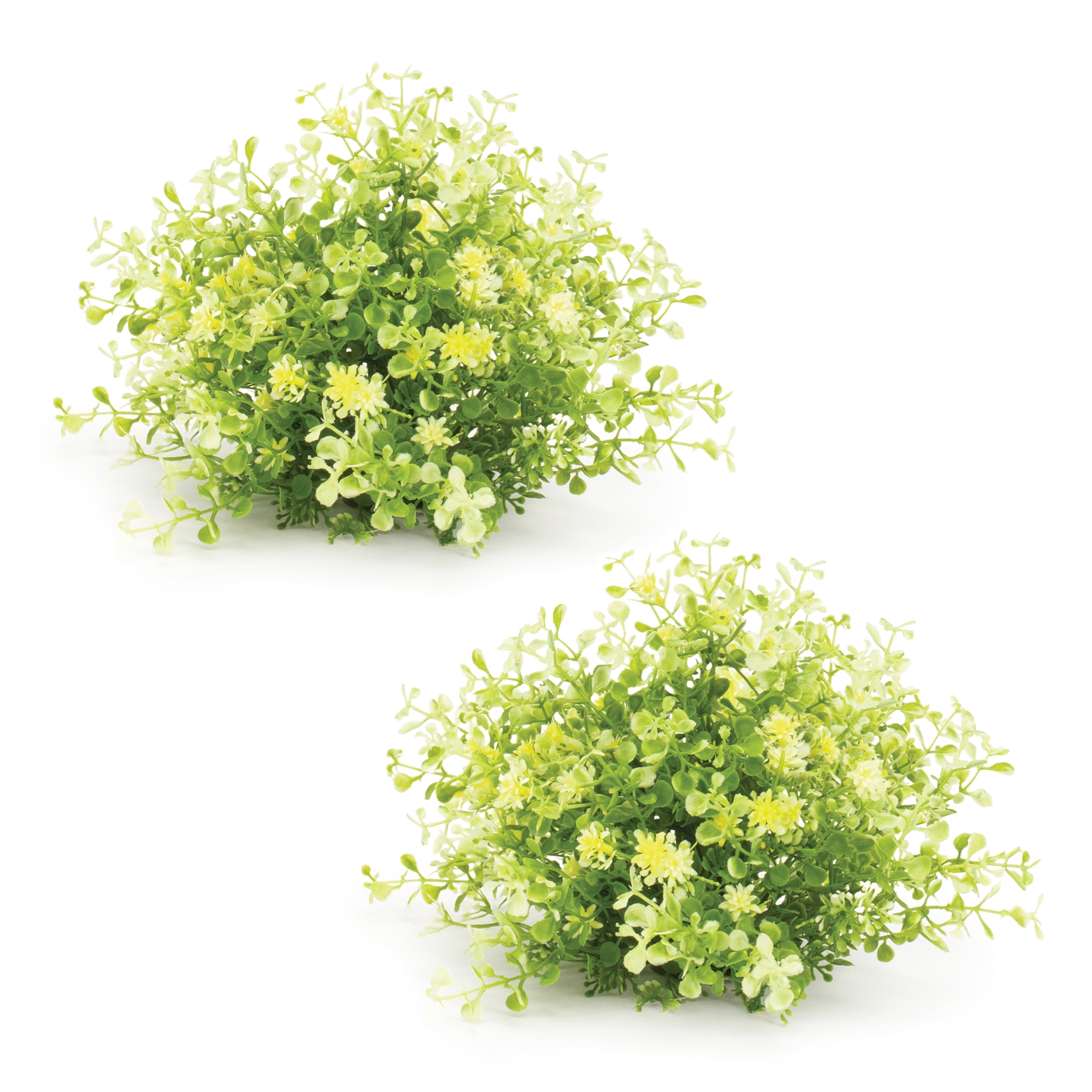 Mini Leaf Foliage Half Orb, Set of 2