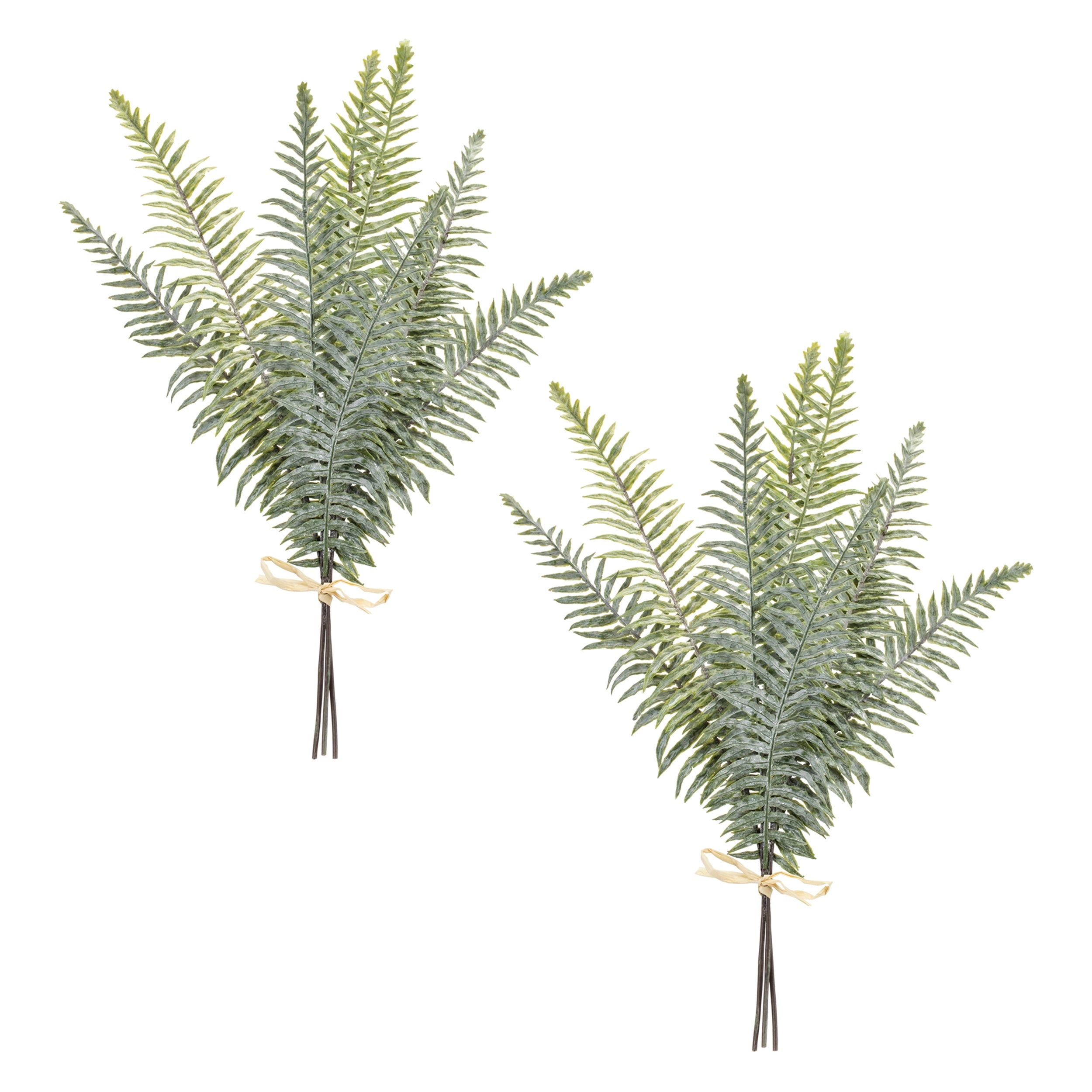 Fern Foliage Bundle, Set of 2