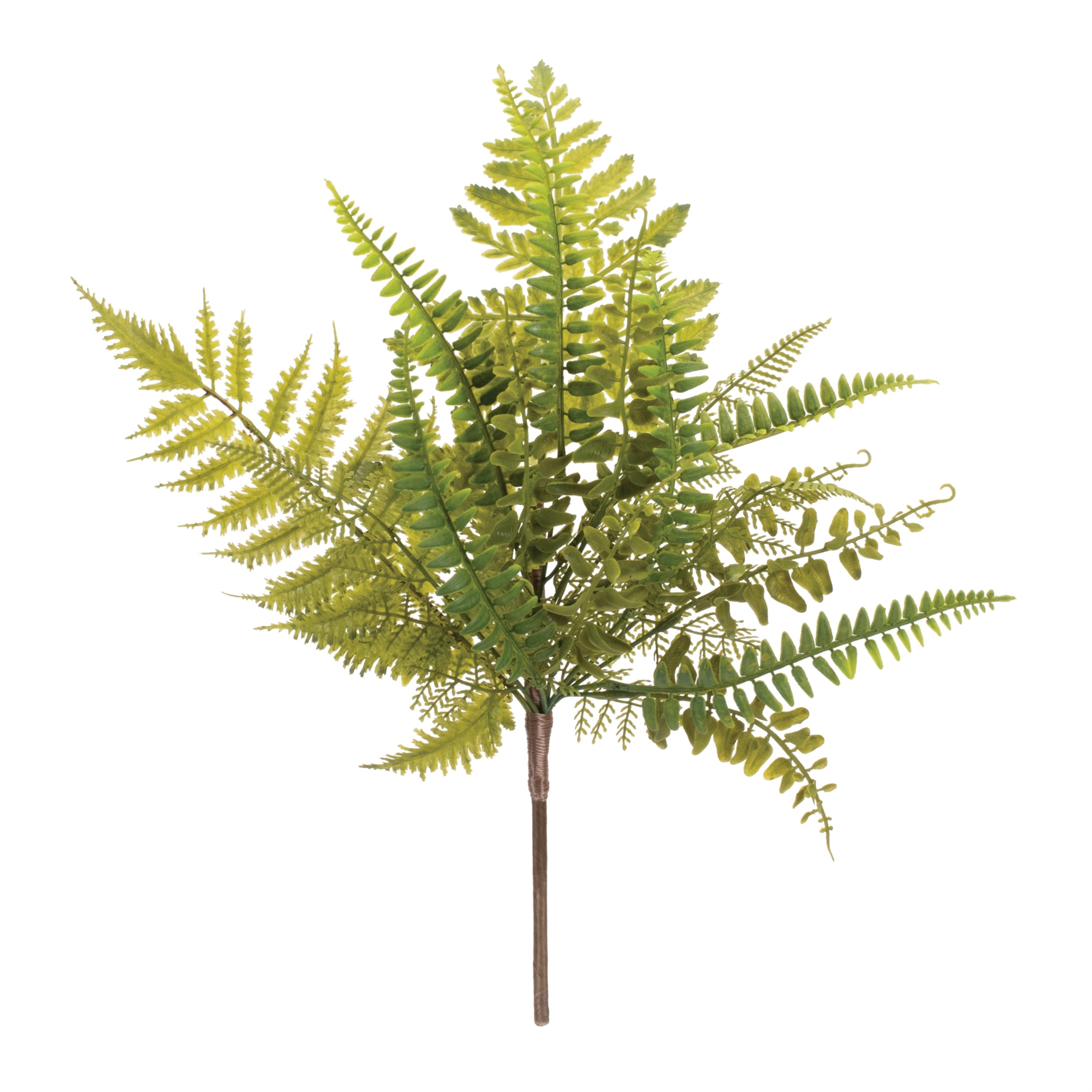 Mixed Fern Foliage Spray, Set of 6