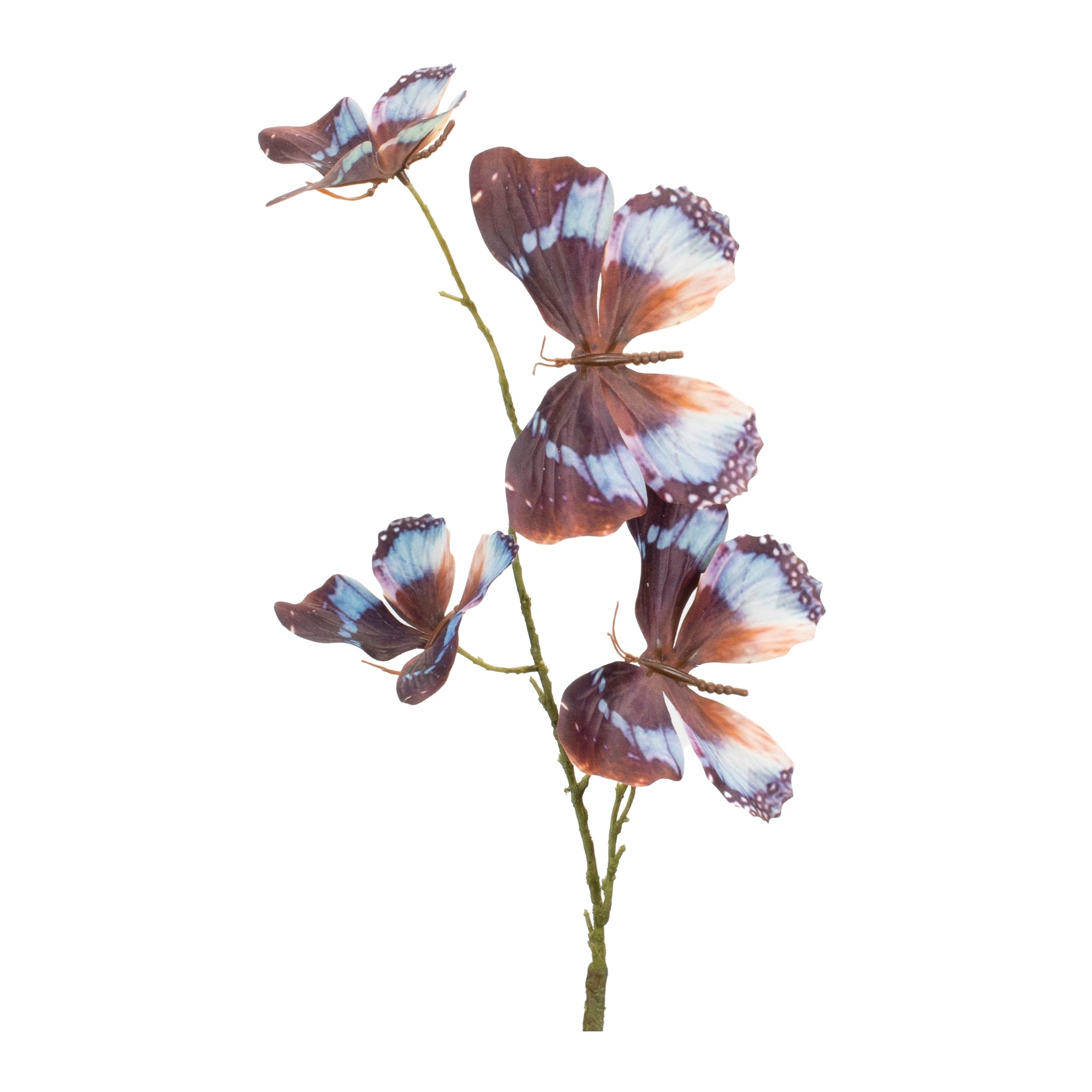 Butterfly Spray, Set of 6