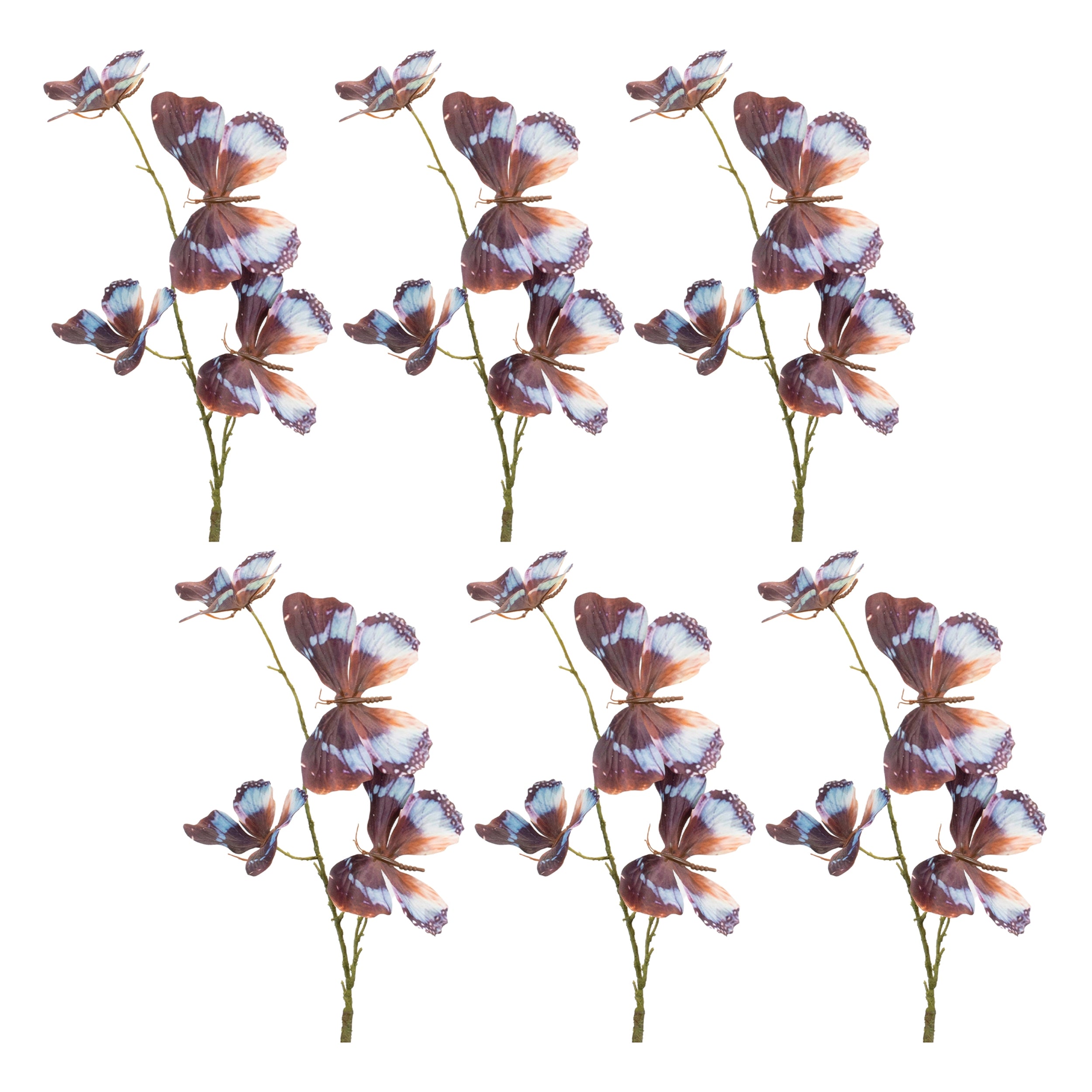 Butterfly Spray, Set of 6