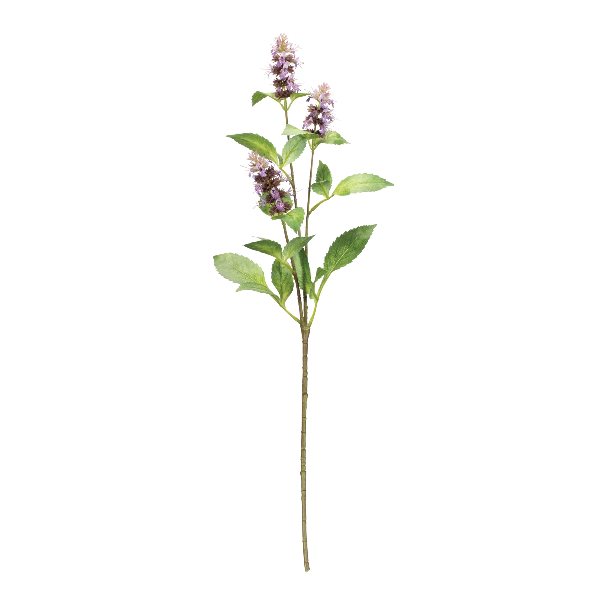Buddleia Floral Stem, Set of 6