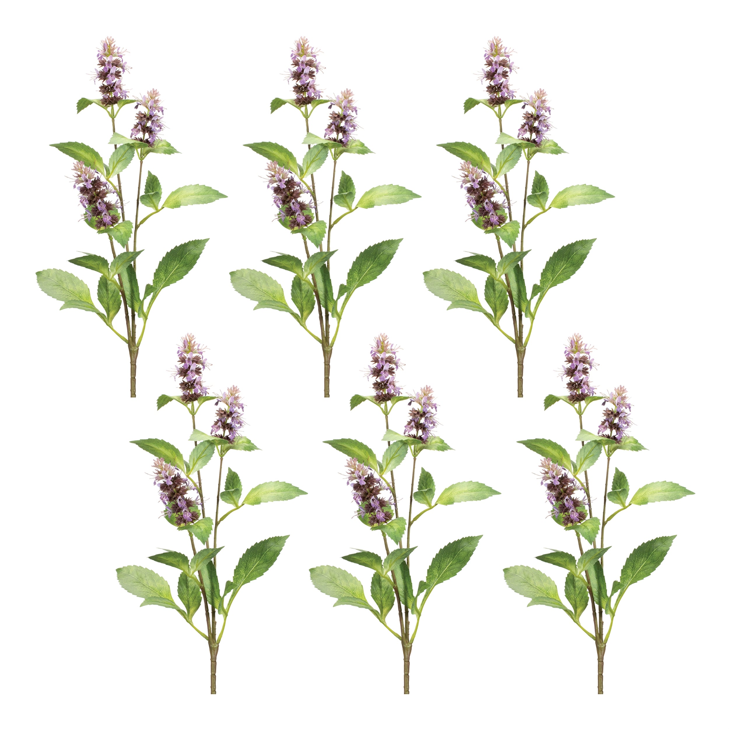 Buddleia Floral Stem, Set of 6