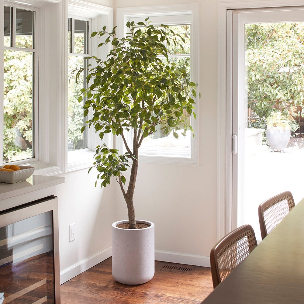 Faux Ficus Tree in beautiful dining room