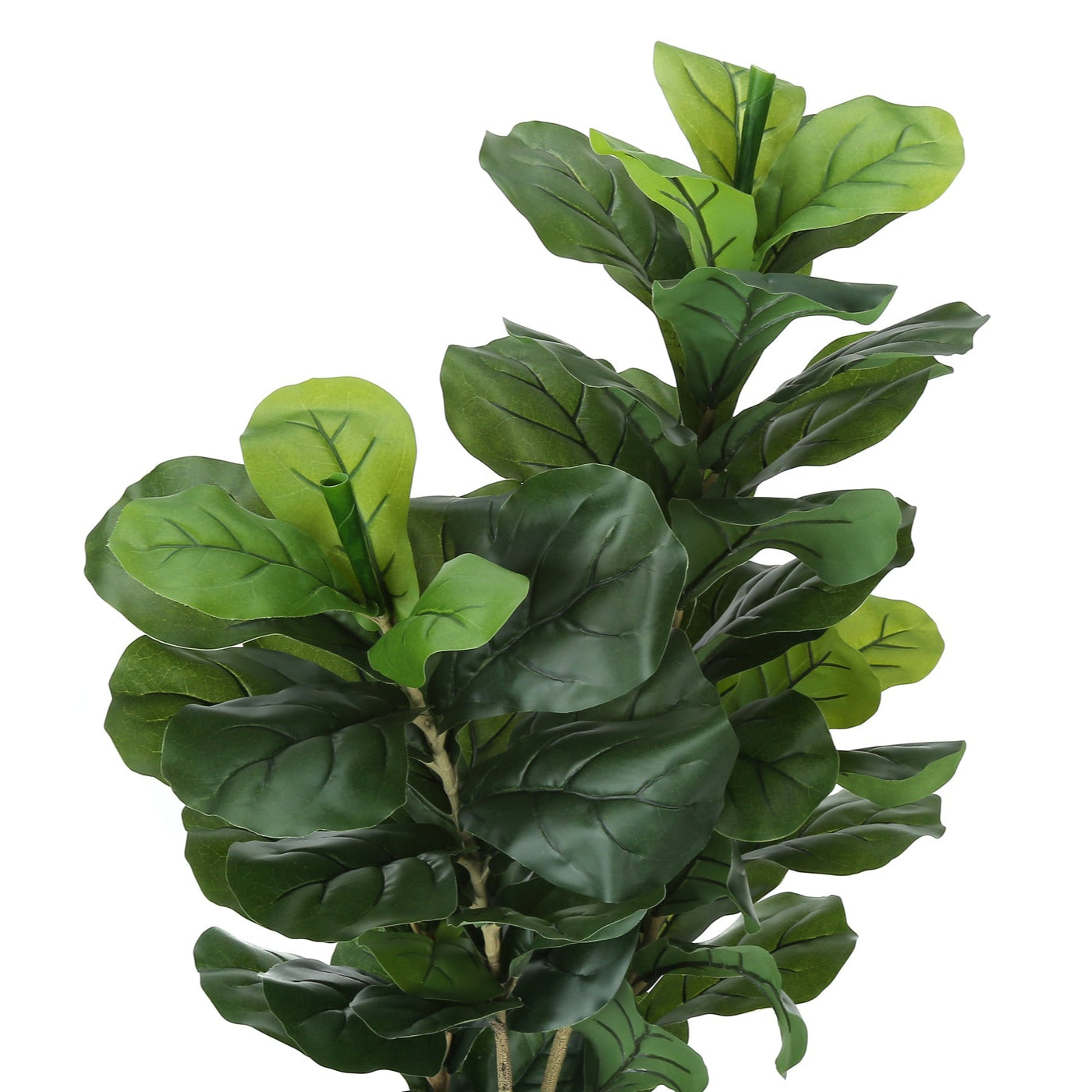 41" Tall Artificial Fiddle Tree with Pot