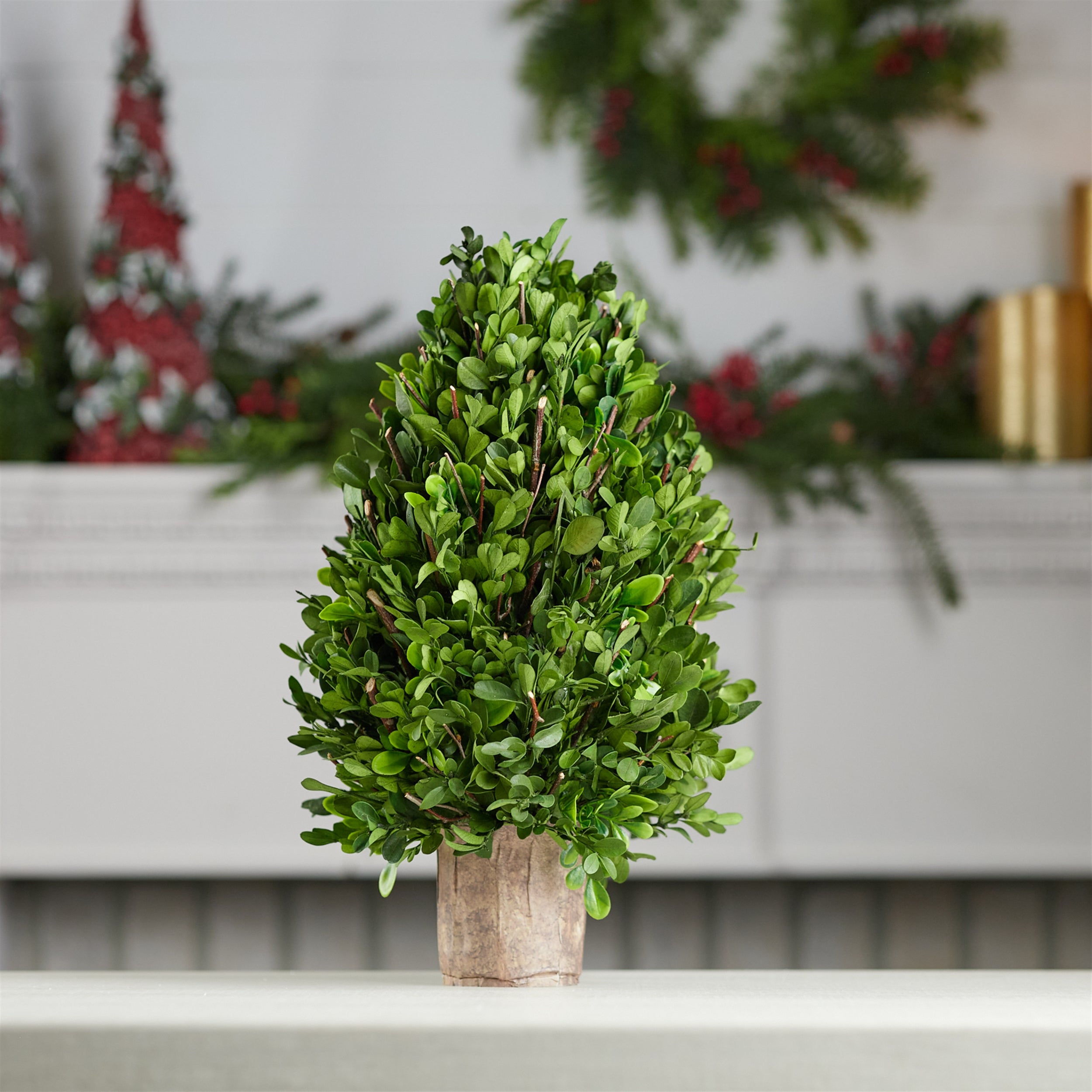 Natural Boxwood Foliage Topiary