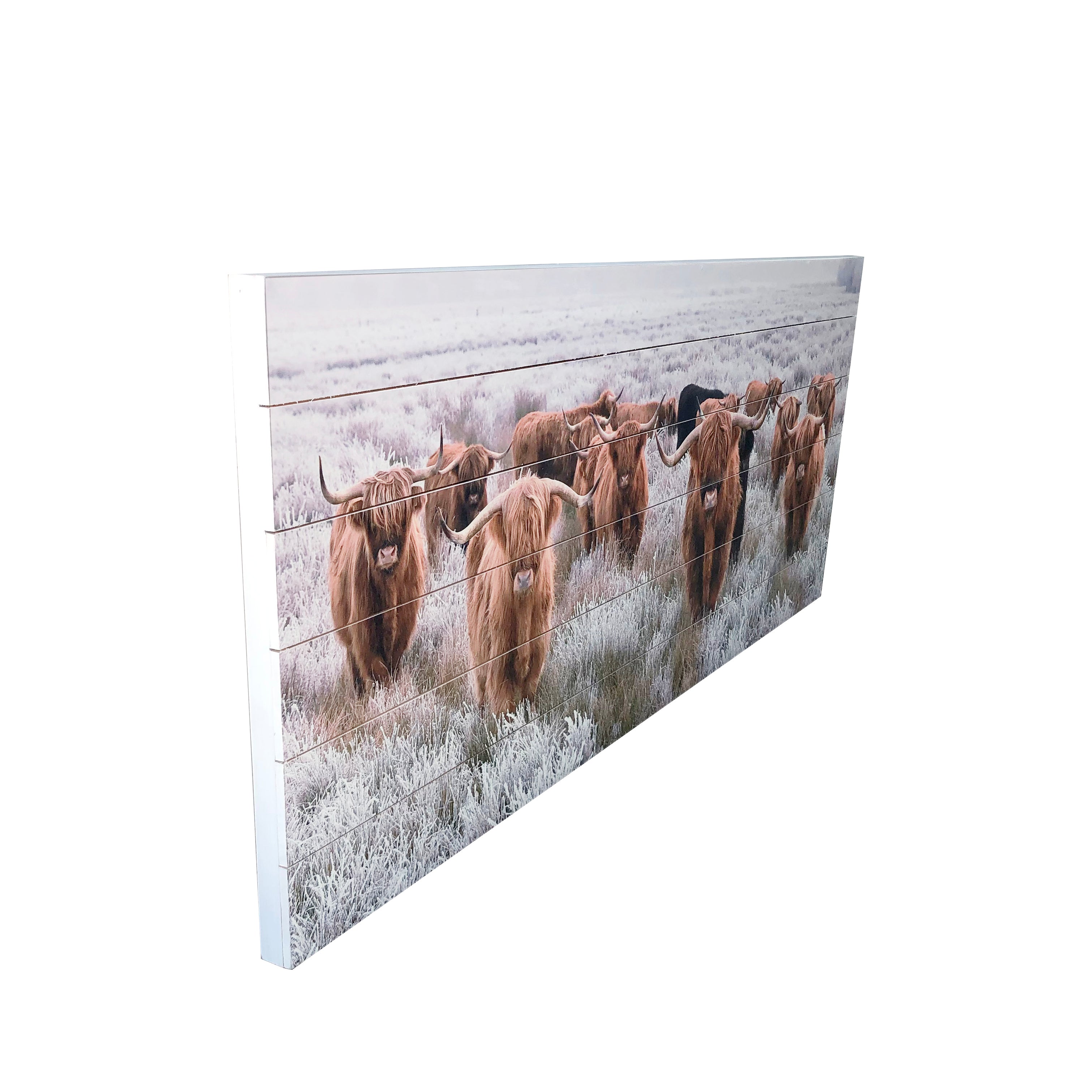 Highland Herd Photograph Print on Planked Wood Wall Art, 19"x45"