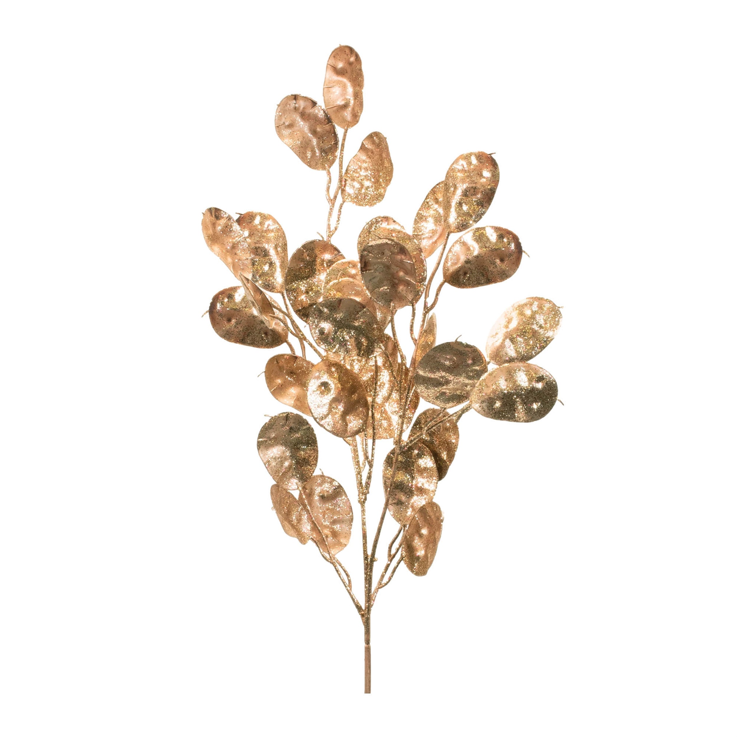 Silver Dollar Spray, Set of 6