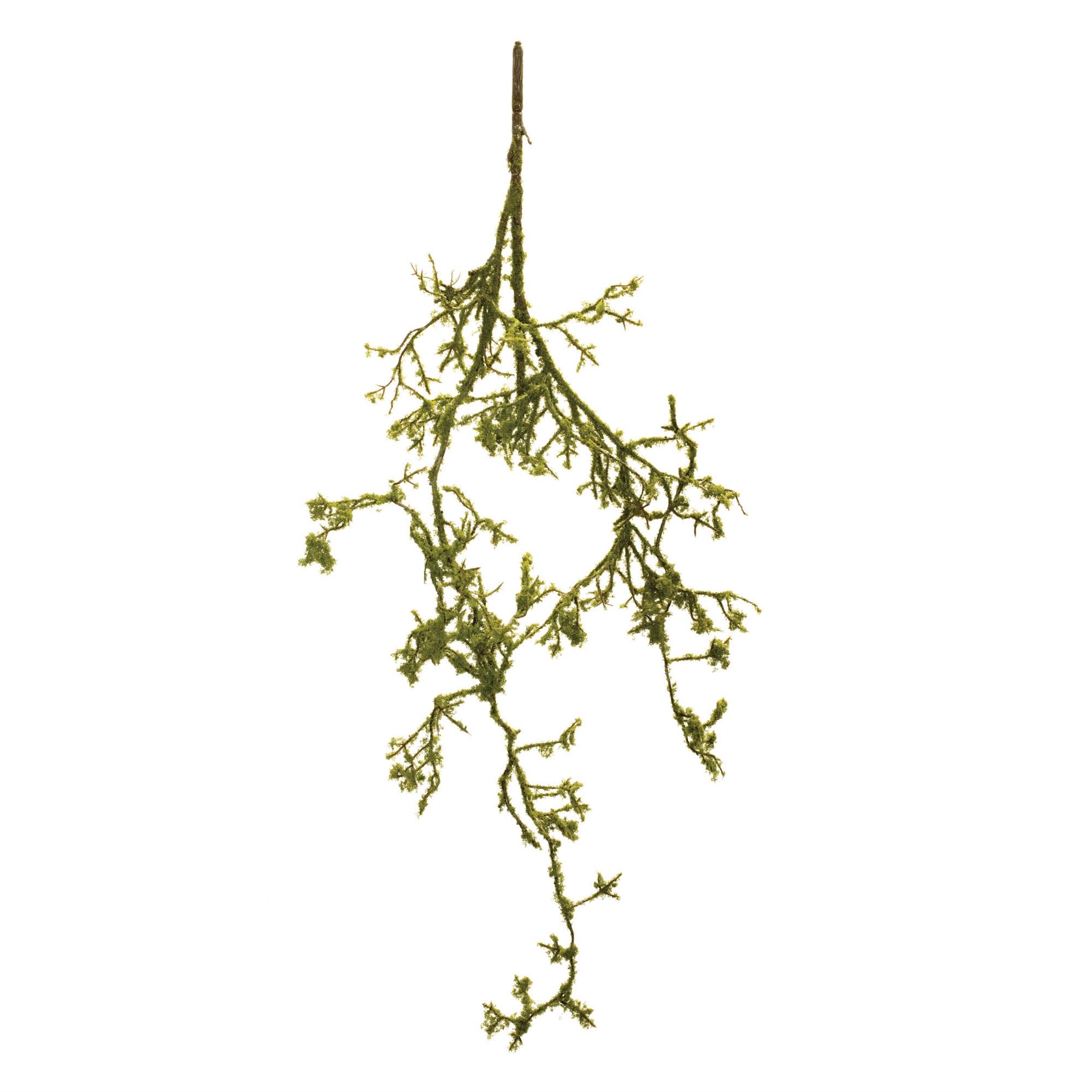 Mossy Twig Branch Vine, Set of 6
