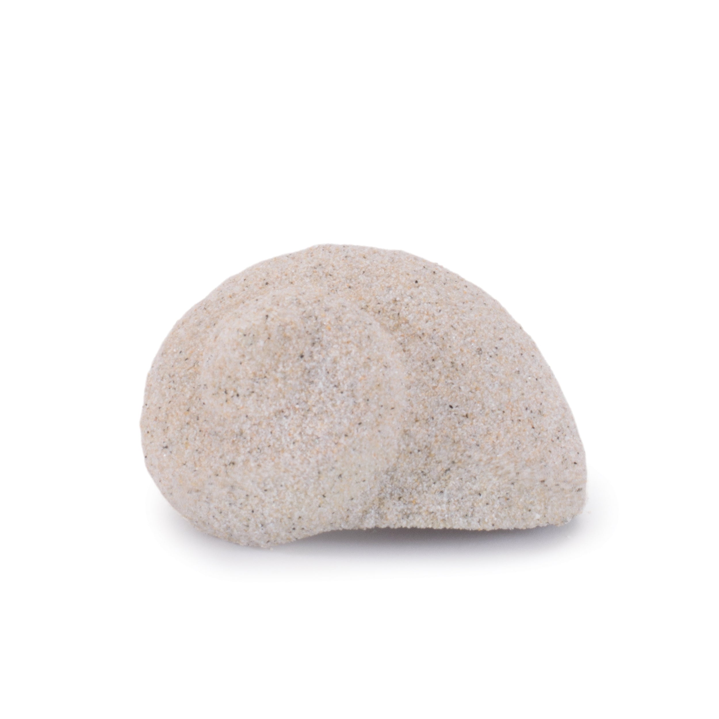 Sea Shell Filler Decor, Set of 12